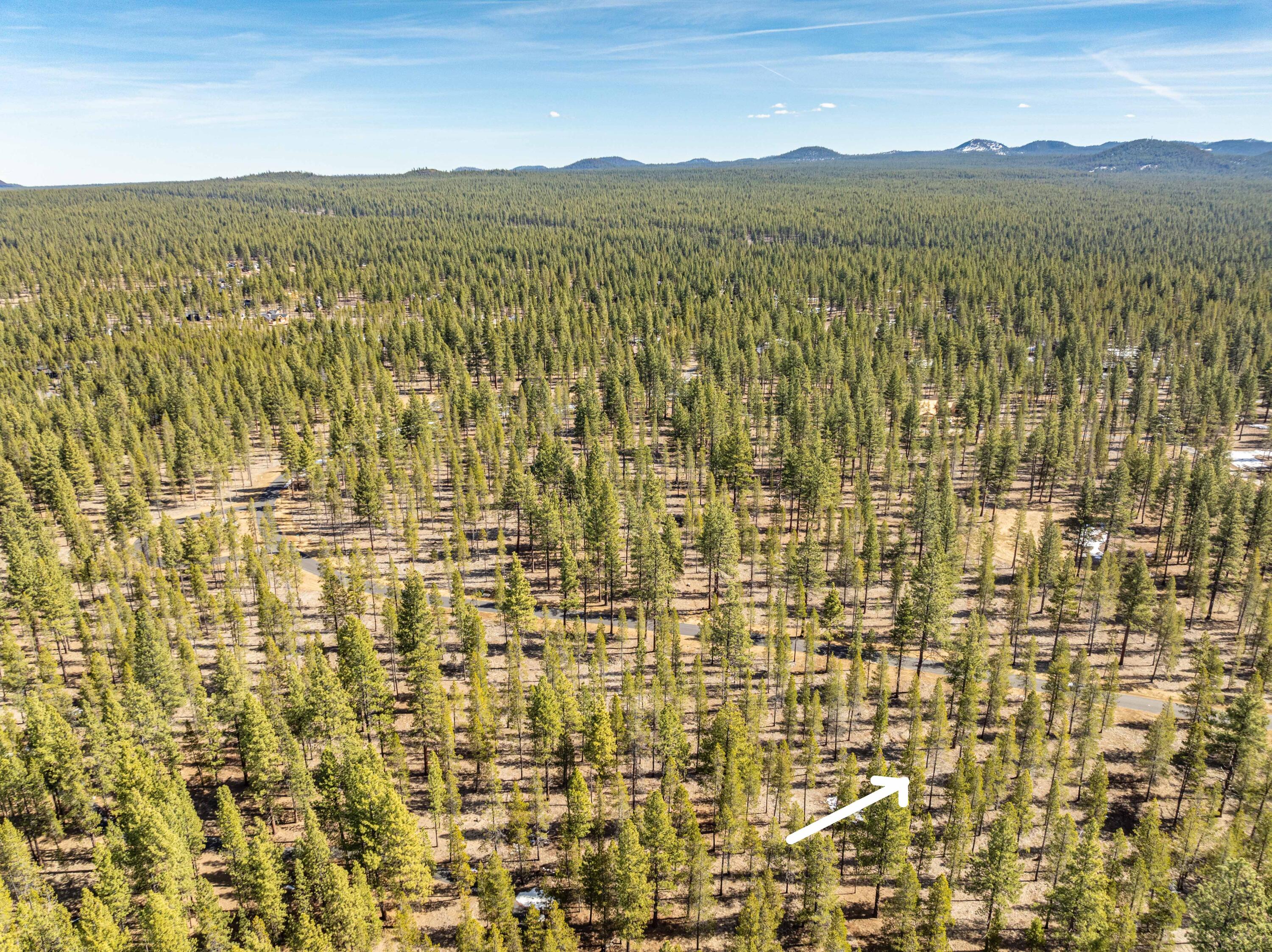 Preservation Loop Bend, Unit 461 Bend, OR 97707 - Photo 8 of 28 DJI_0719-HDR
