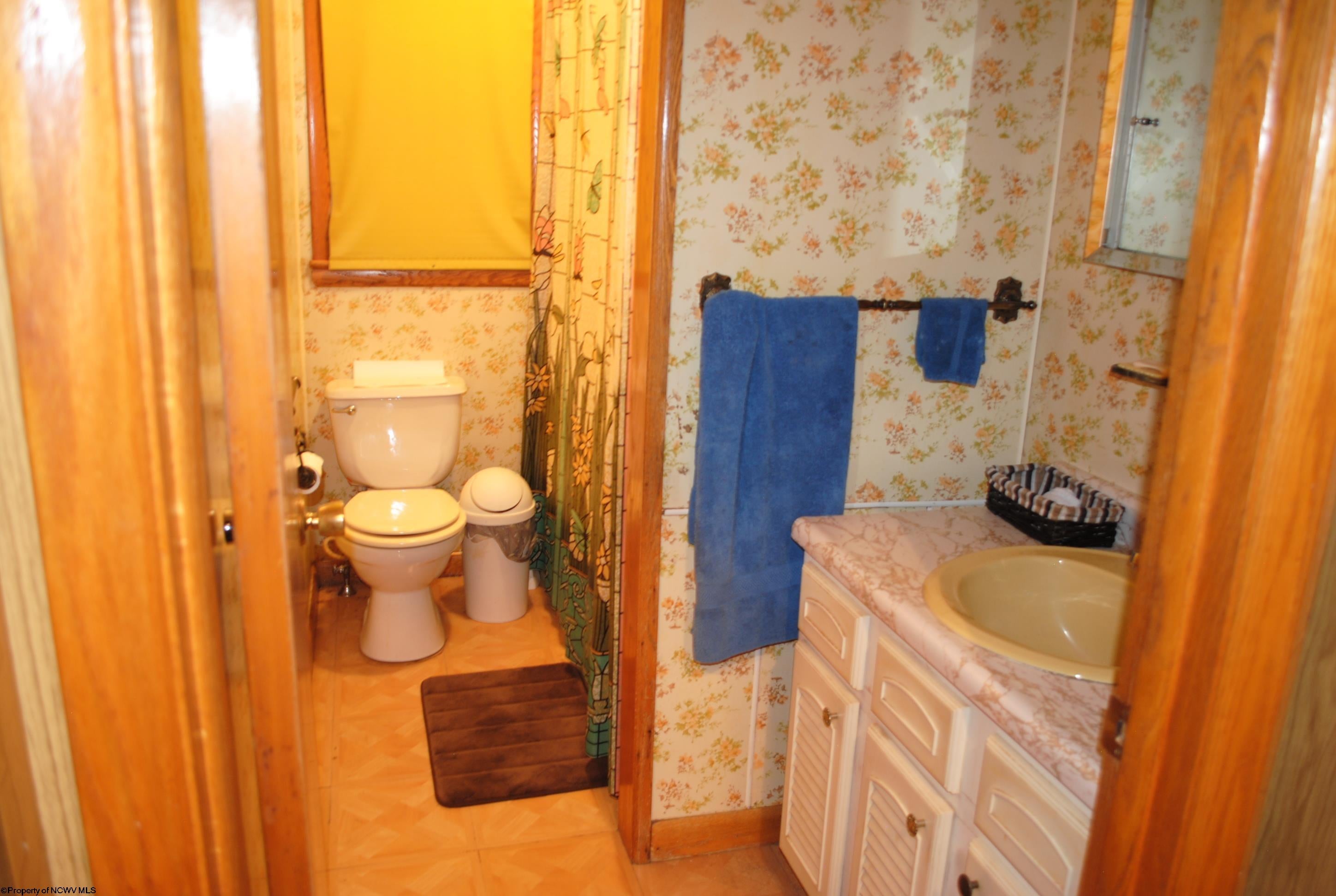 403 Stringtown Road Belington, WV 26250 - Photo 12 of 22 Gallery Image 12