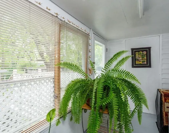 a view of a balcony with plants
