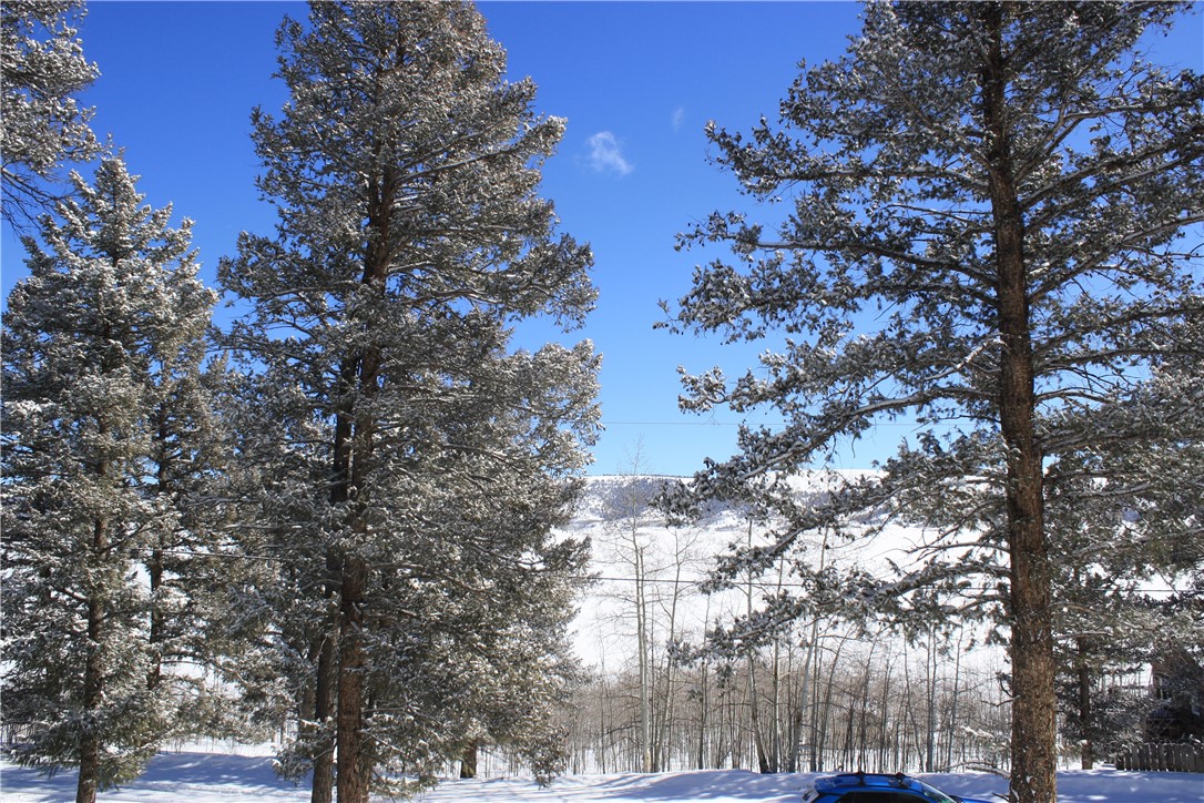 3041 Redhill Road Fairplay, CO 80440 - Photo 20 of 23 Gallery Image 20