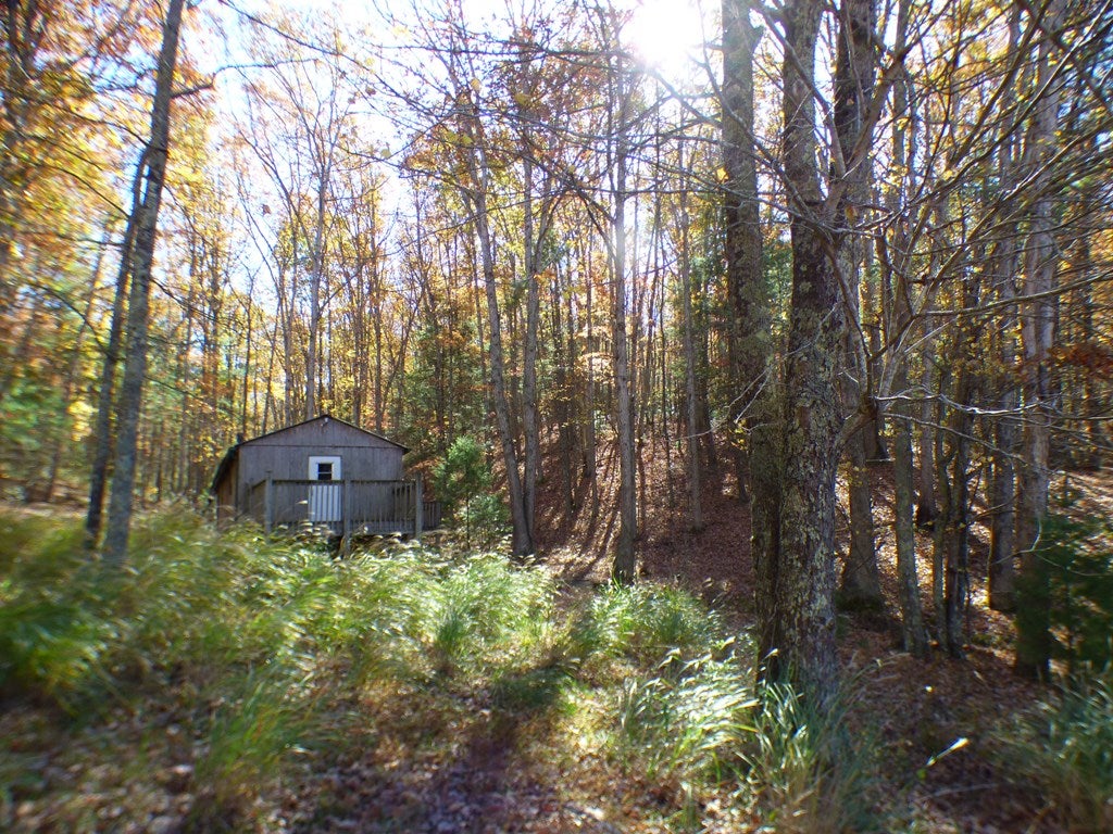 Gallery Image 6