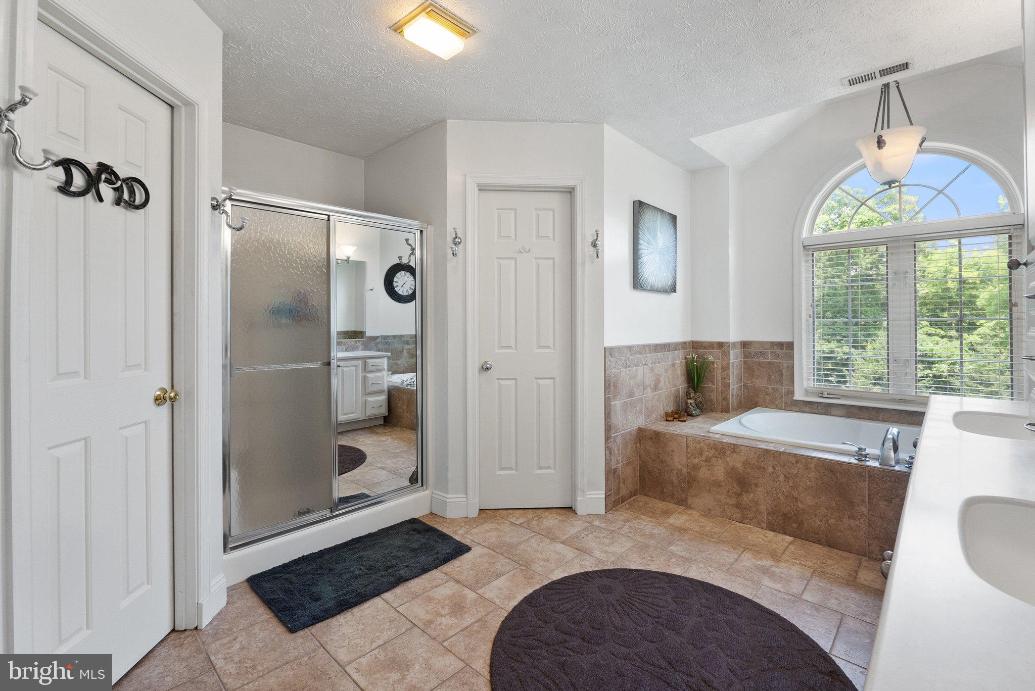 225 Cotton Ridge Road Winchester, VA 22603 - Photo 37 of 59 Ensuite primary bath