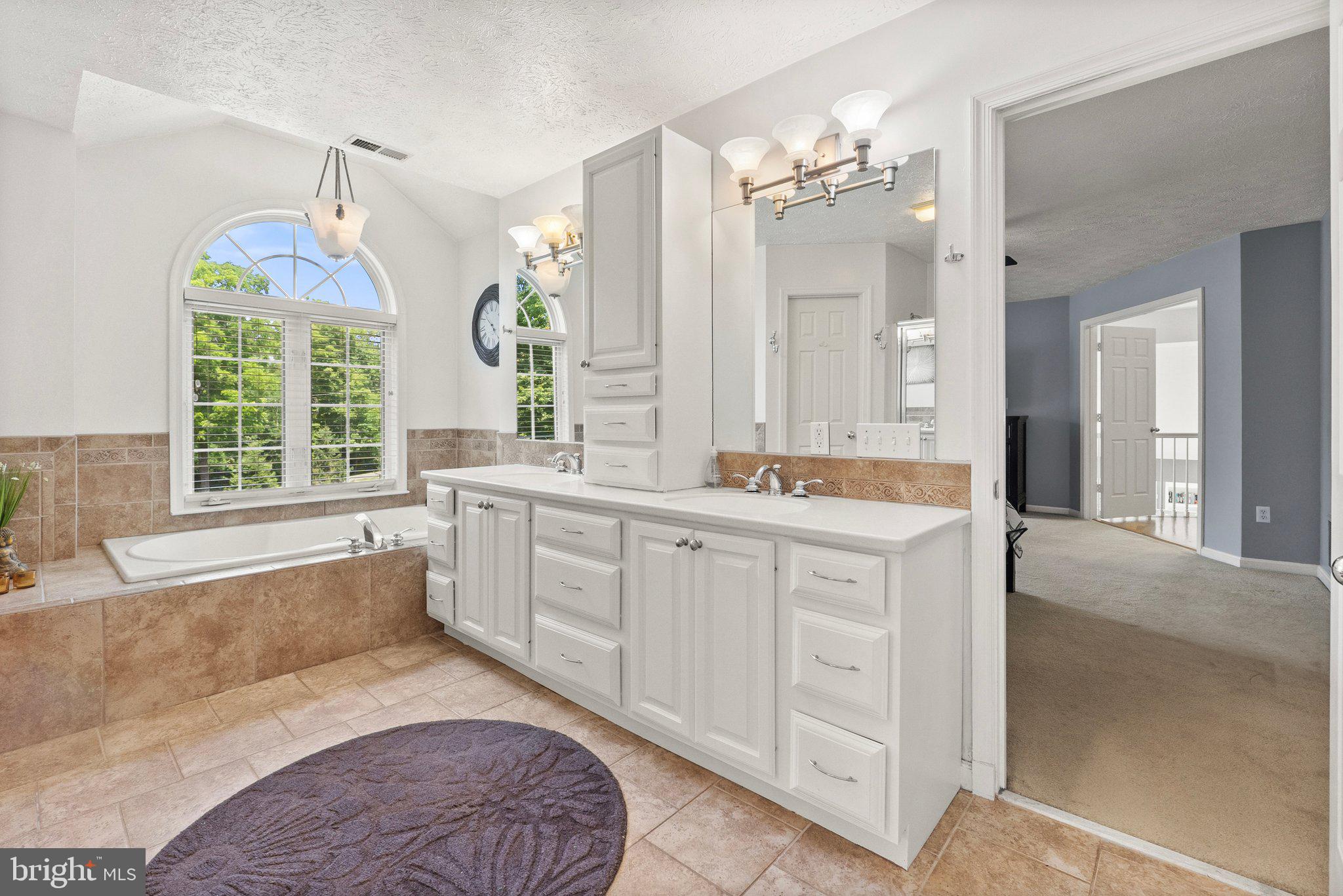 225 Cotton Ridge Road Winchester, VA 22603 - Photo 38 of 59 Double sink vanity with tons of storage space