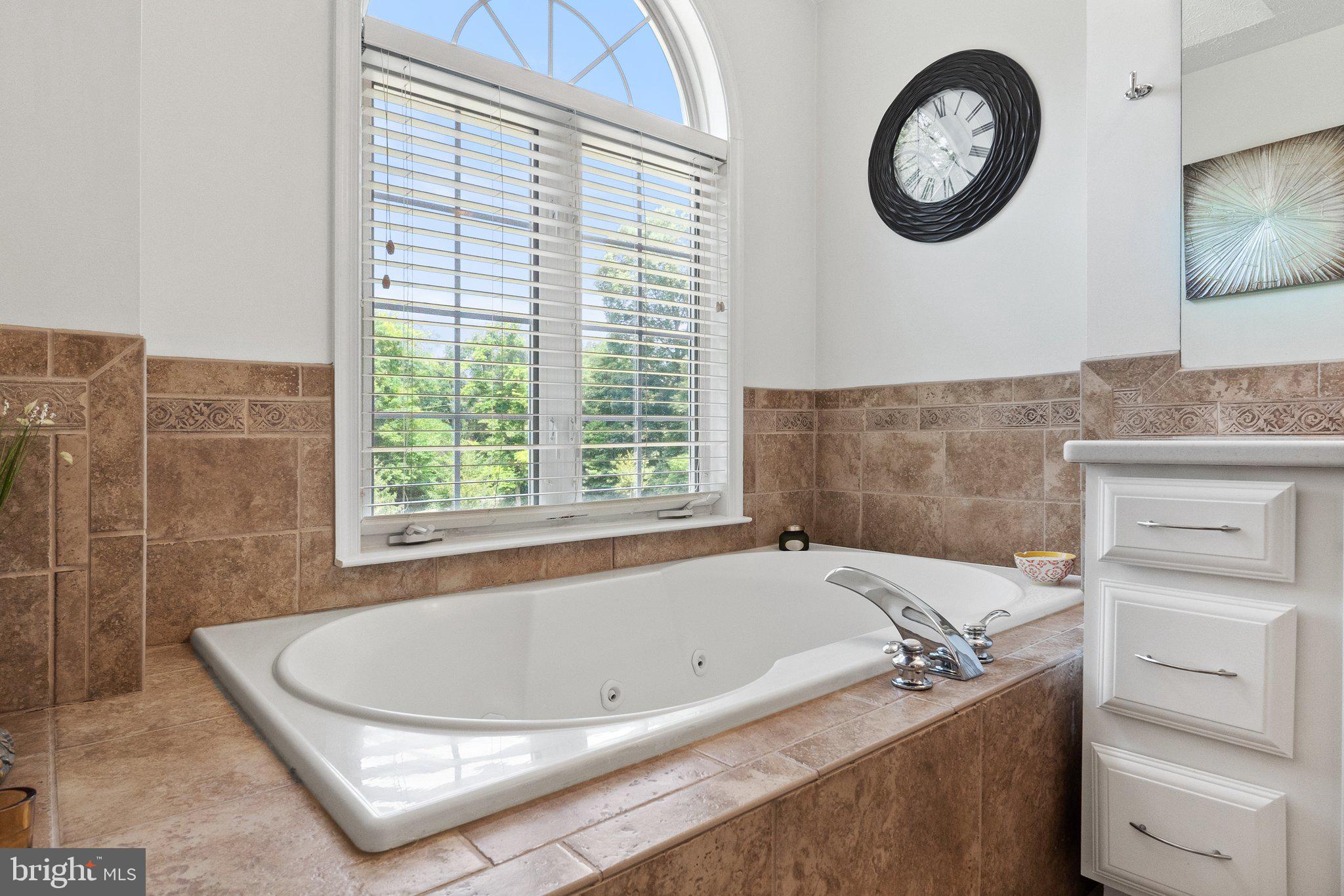 225 Cotton Ridge Road Winchester, VA 22603 - Photo 39 of 59 Large soaking tub