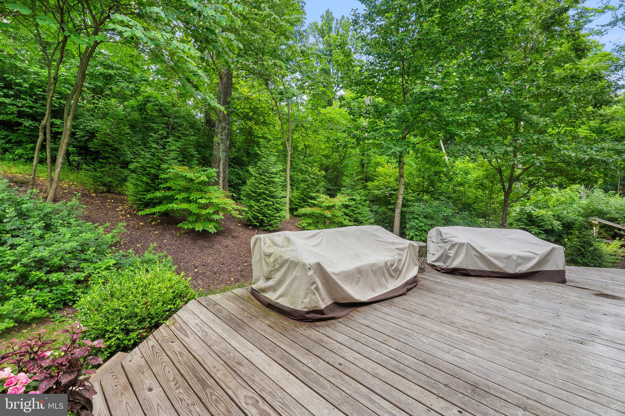 225 Cotton Ridge Road Winchester, VA 22603 - Photo 50 of 59 Lush greenery all around