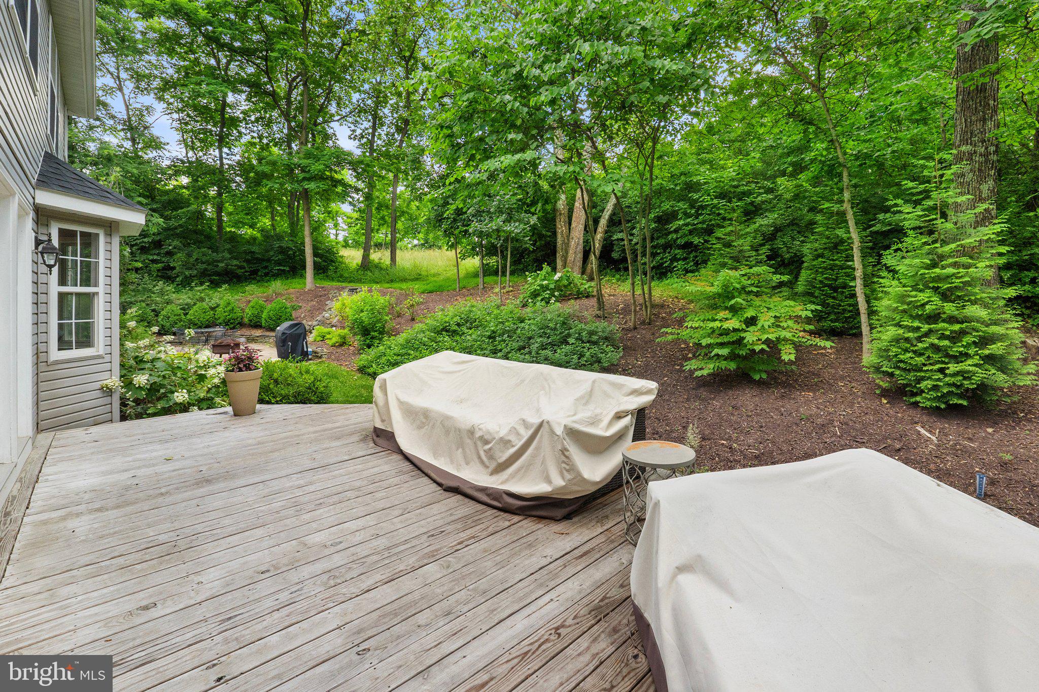 225 Cotton Ridge Road Winchester, VA 22603 - Photo 51 of 59 Surrounded by large trees