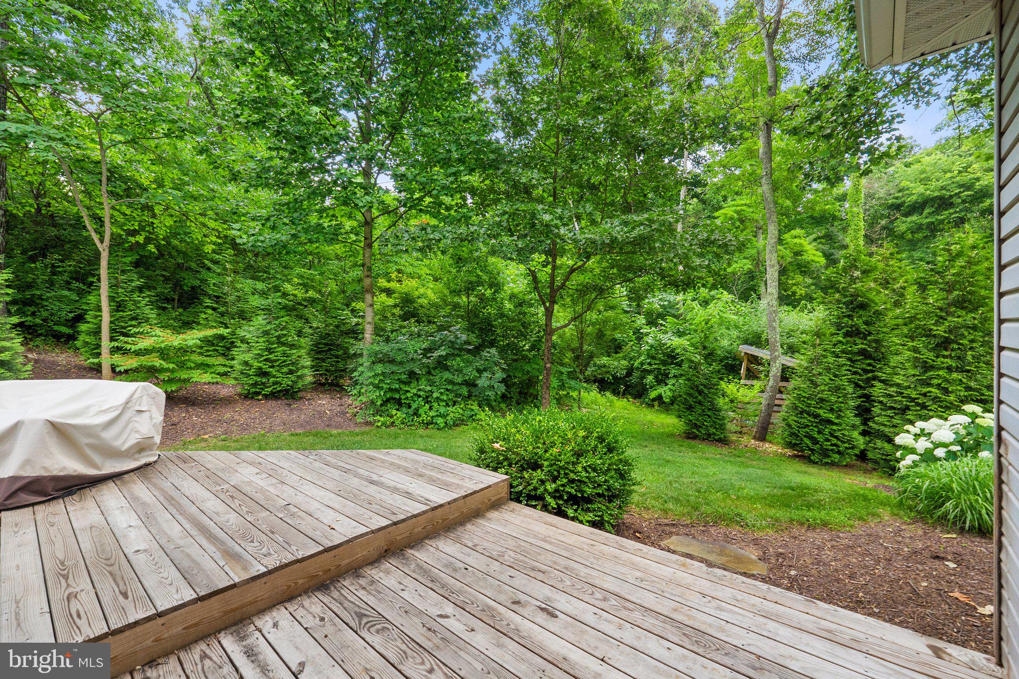225 Cotton Ridge Road Winchester, VA 22603 - Photo 52 of 59 Offers maximum privacy