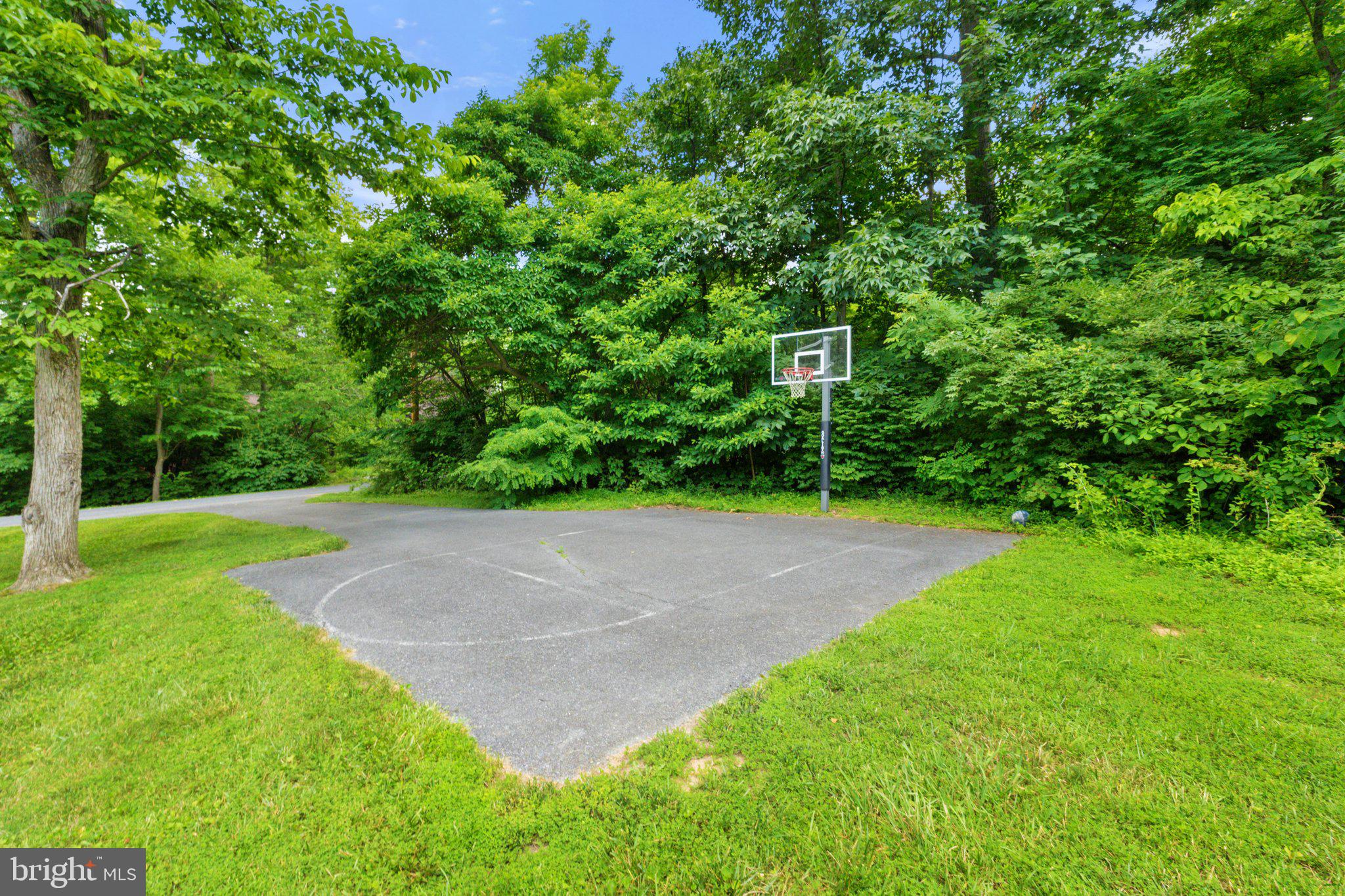 225 Cotton Ridge Road Winchester, VA 22603 - Photo 56 of 59