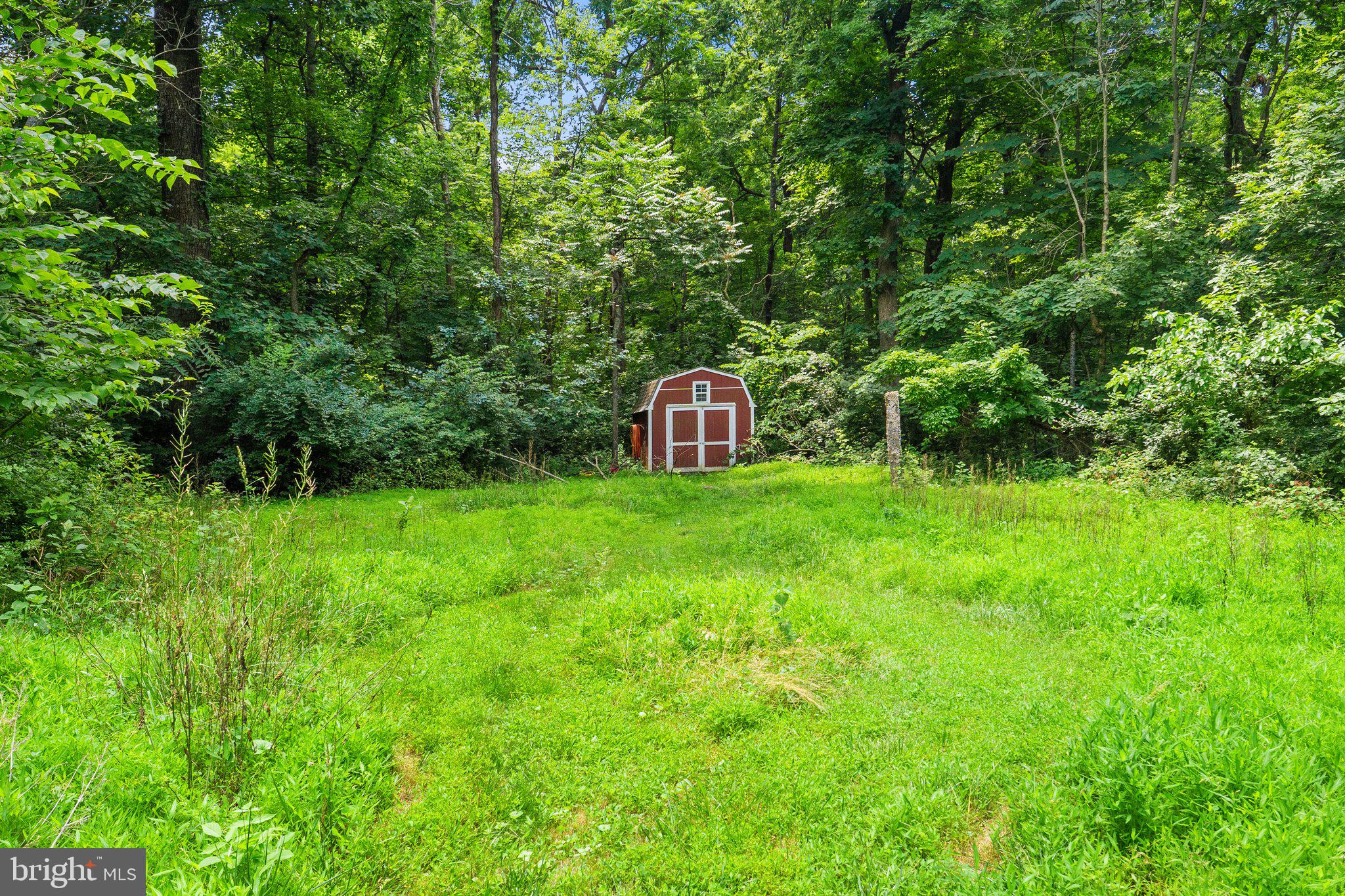 225 Cotton Ridge Road Winchester, VA 22603 - Photo 57 of 59 Shed for outdoor storage