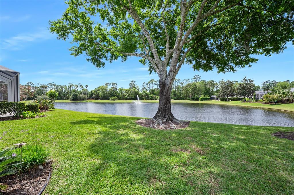 8 Gale Lane Ormond Beach, FL 32174 - Photo 37 of 77 a view of a lake with a large trees