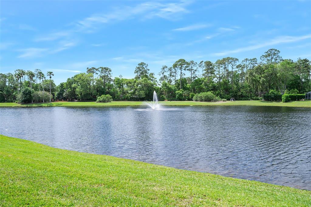 8 Gale Lane Ormond Beach, FL 32174 - Photo 47 of 77 a view of a lake