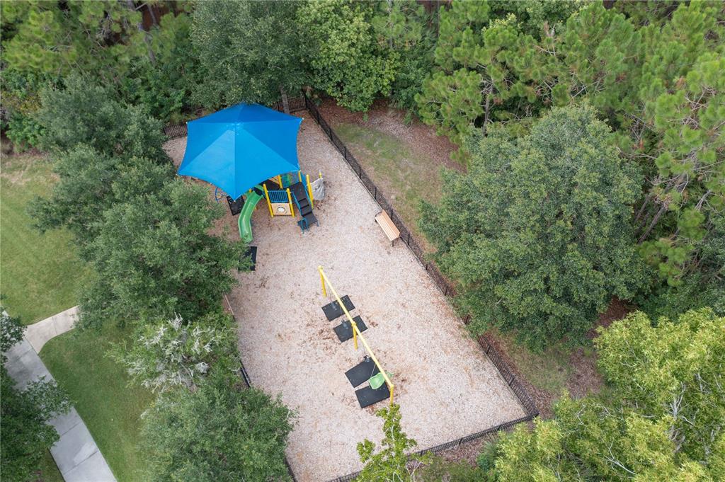 8 Gale Lane Ormond Beach, FL 32174 - Photo 77 of 77