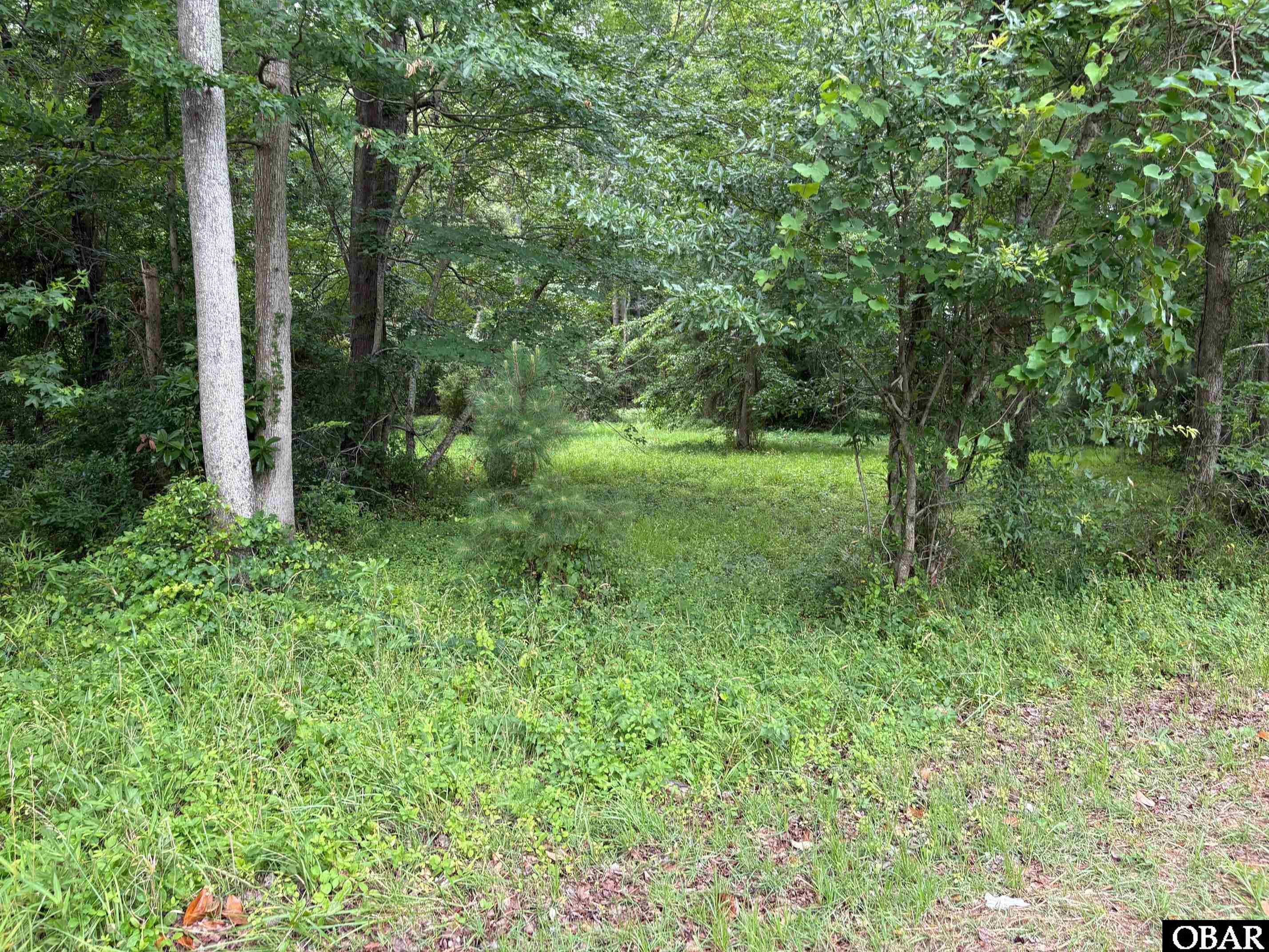 938 Burnside Road Manteo, NC 27954 - Photo 2 of 2