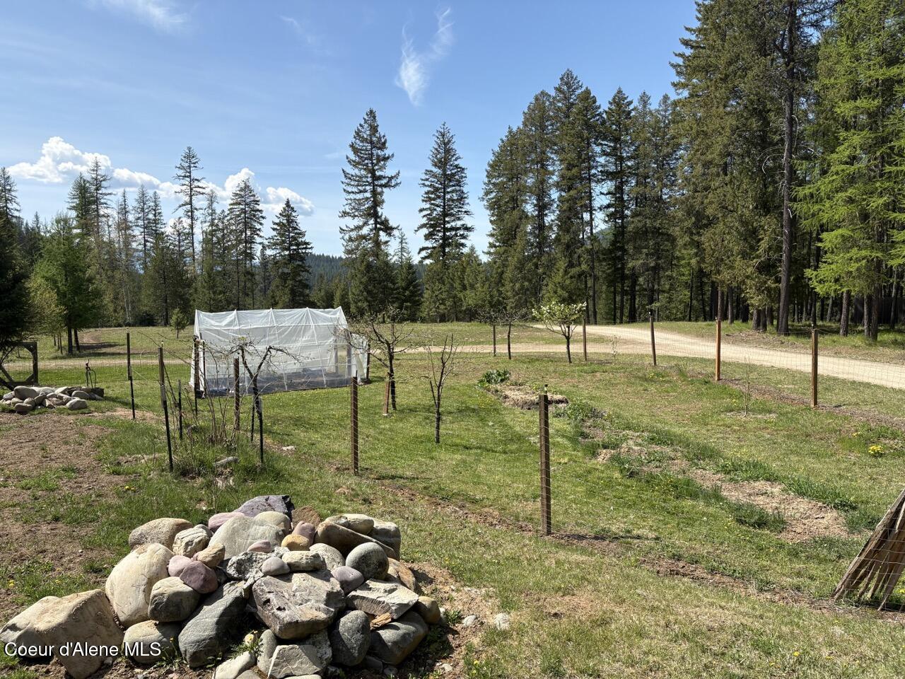 1202 Porkchop Road Moyie Springs, ID 83845 - Photo 46 of 50 Garden & Orchard