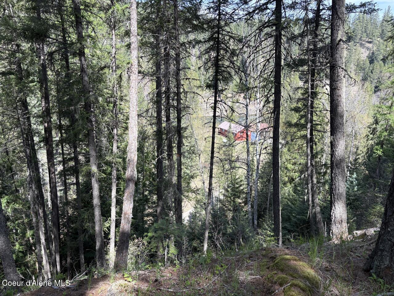 1202 Porkchop Road Moyie Springs, ID 83845 - Photo 48 of 50 Filtered River View