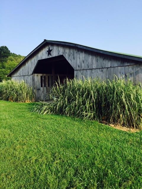 1440 Freedom School Road Mount Vernon, KY 40456 - Photo 14 of 17 Photo 14