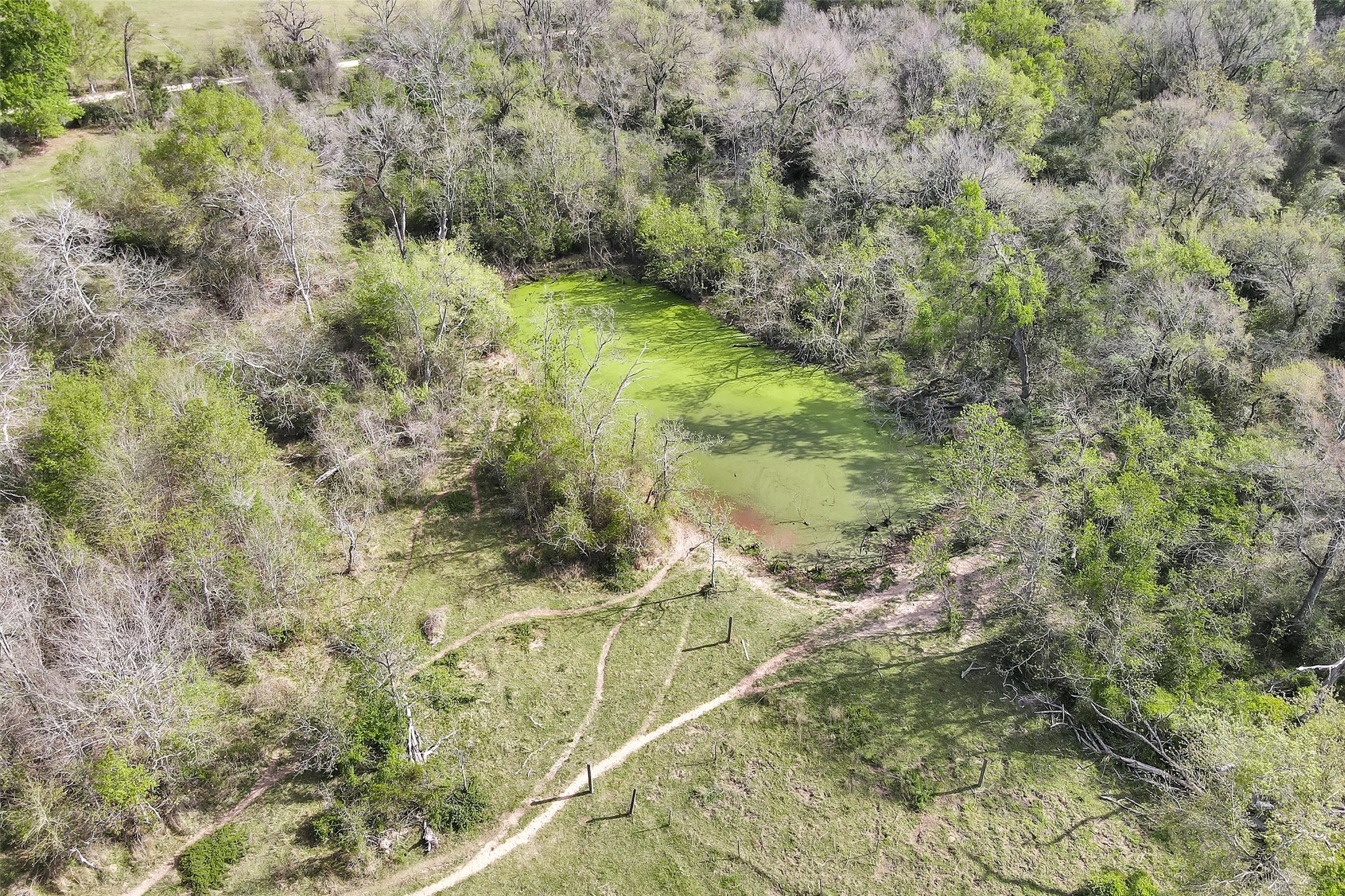 0 Fm 362 Waller, TX 77484 - Photo 3 of 15 There is a pond on the property