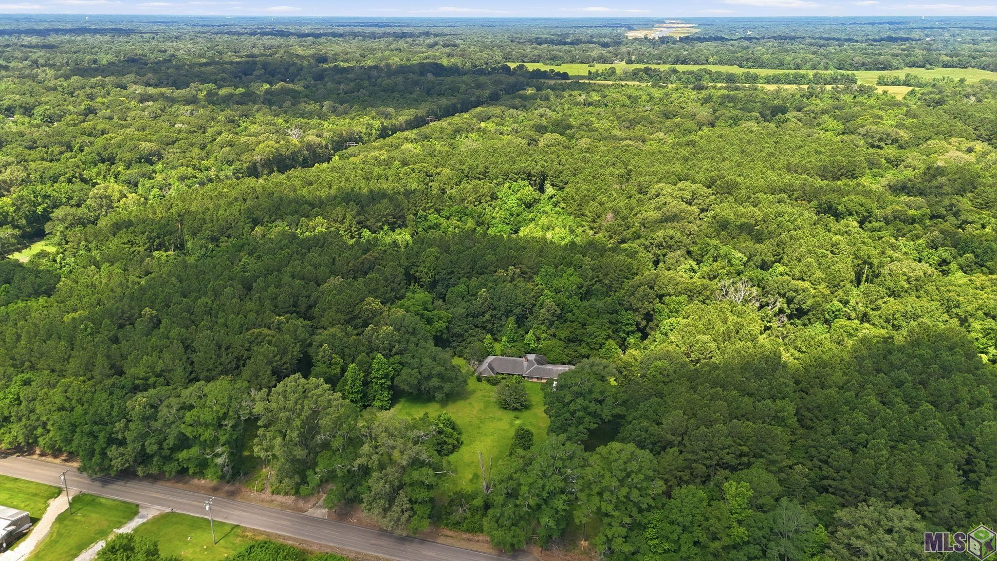 Tbd Blackwater Road Zachary, LA 70791 - Photo 8 of 8