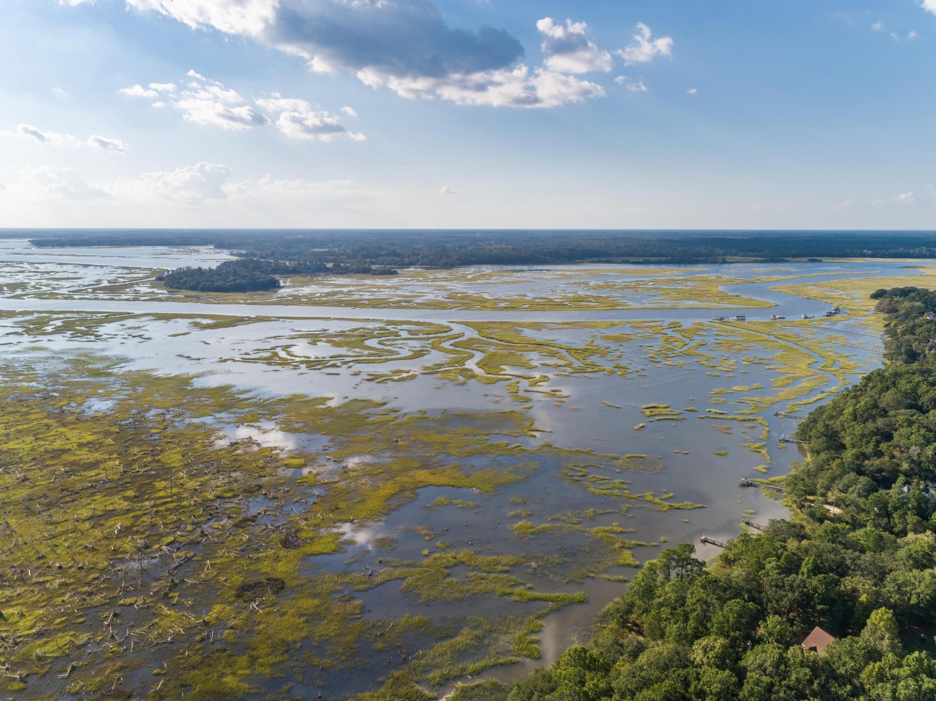 1483 Ravens Bluff Road Johns Island, SC 29455 - Photo 12 of 36 CoastalREphoto1483RavensBluff-39