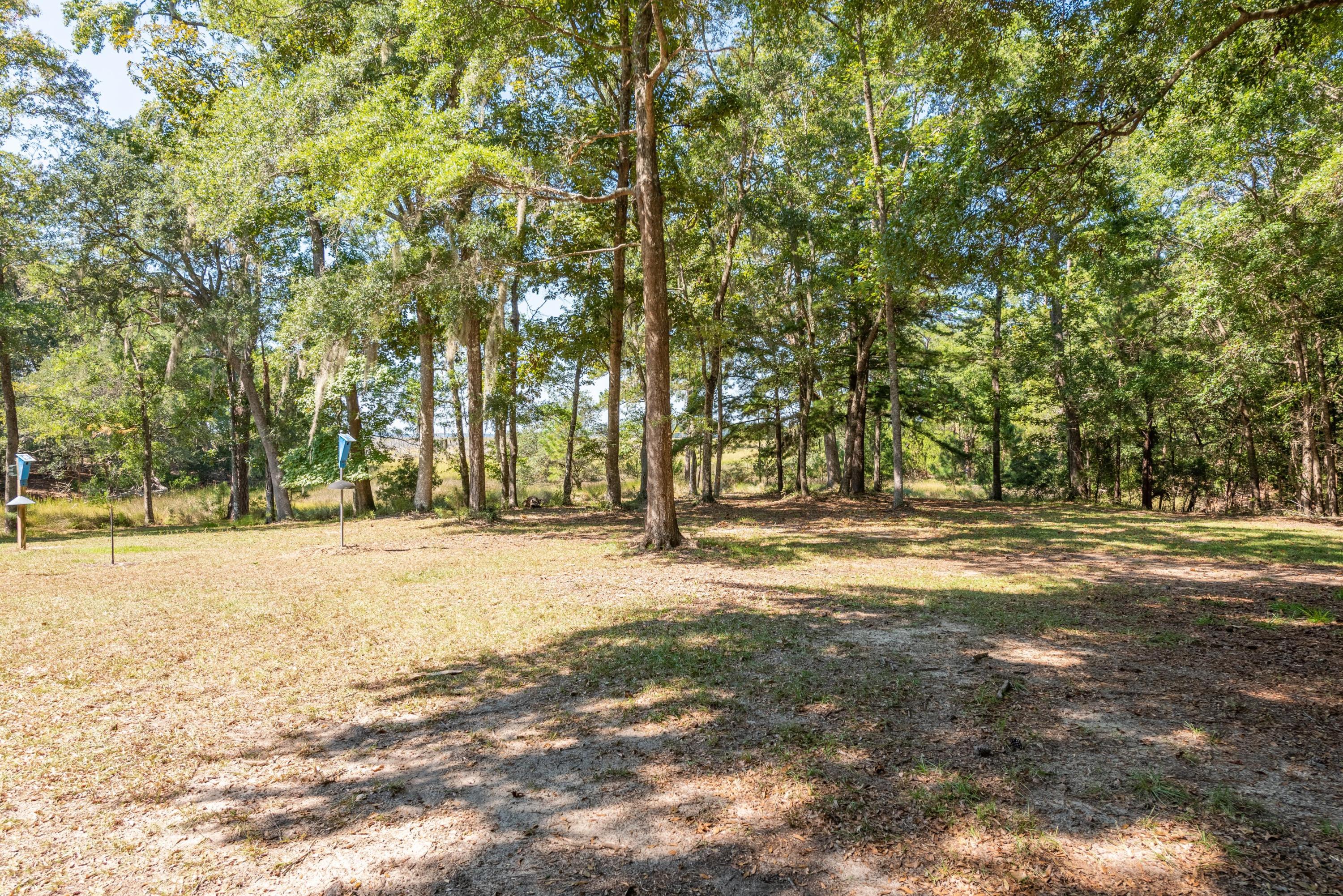 1483 Ravens Bluff Road Johns Island, SC 29455 - Photo 16 of 36 CoastalREphoto1483RavensBluff-28