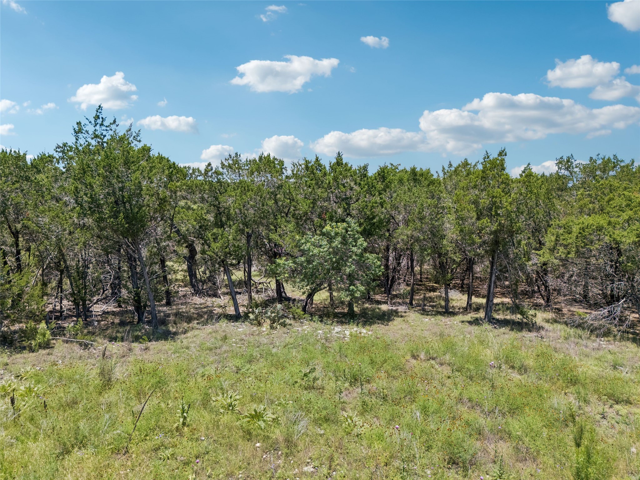 Tbd South Rainbow Ranch Road Wimberley, TX 78676 - Photo 8 of 17
