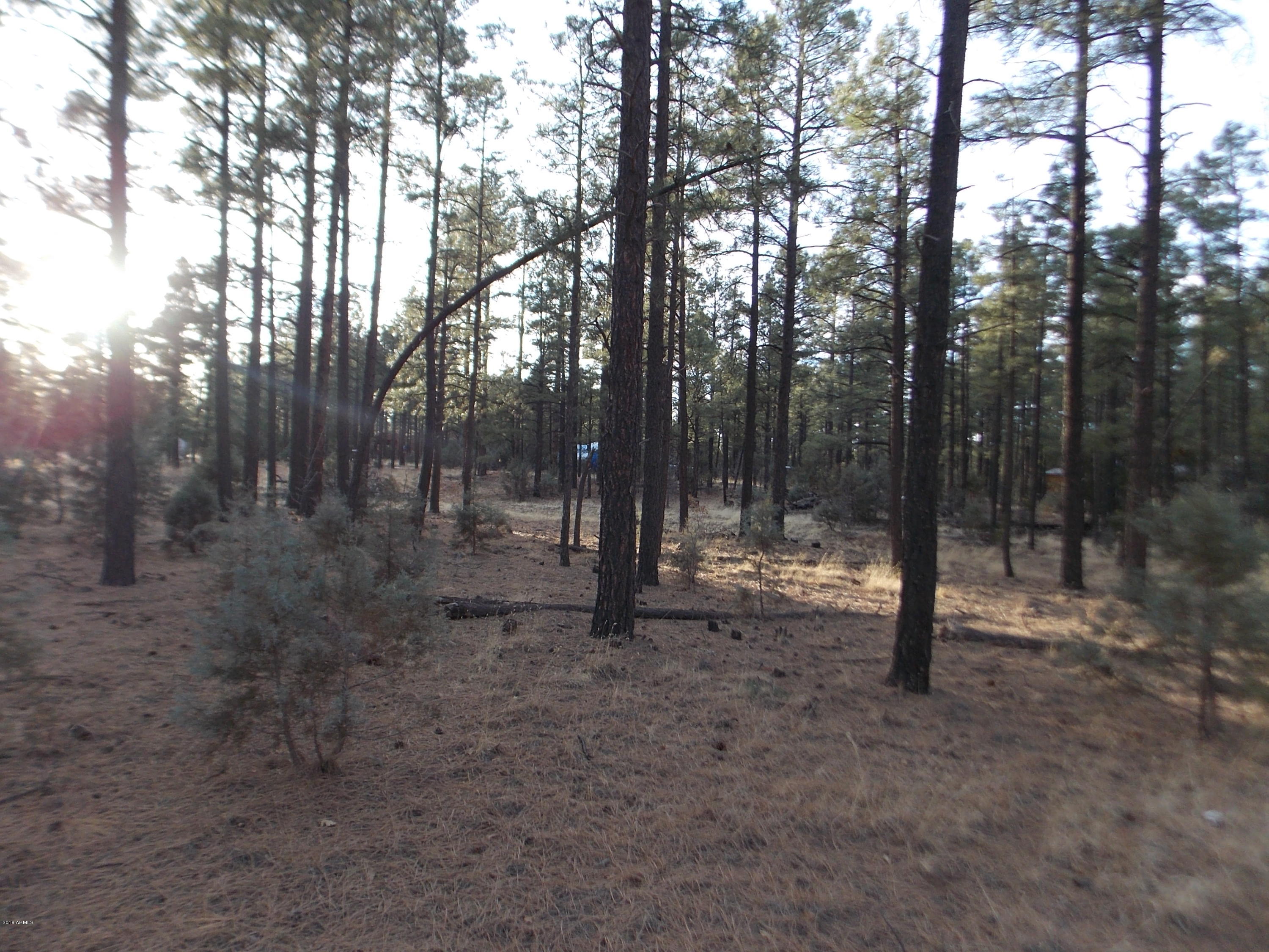 2778 Canyon Ridge Road, Unit 107 Overgaard, AZ 85933 - Photo 4 of 8 DSCN9044