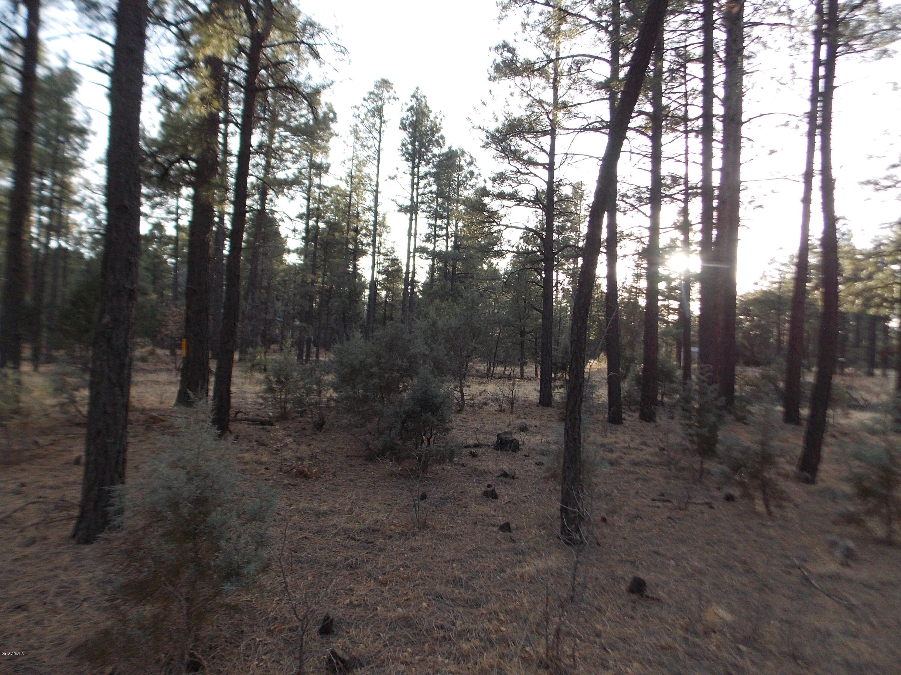 2778 Canyon Ridge Road, Unit 107 Overgaard, AZ 85933 - Photo 6 of 8 DSCN9046
