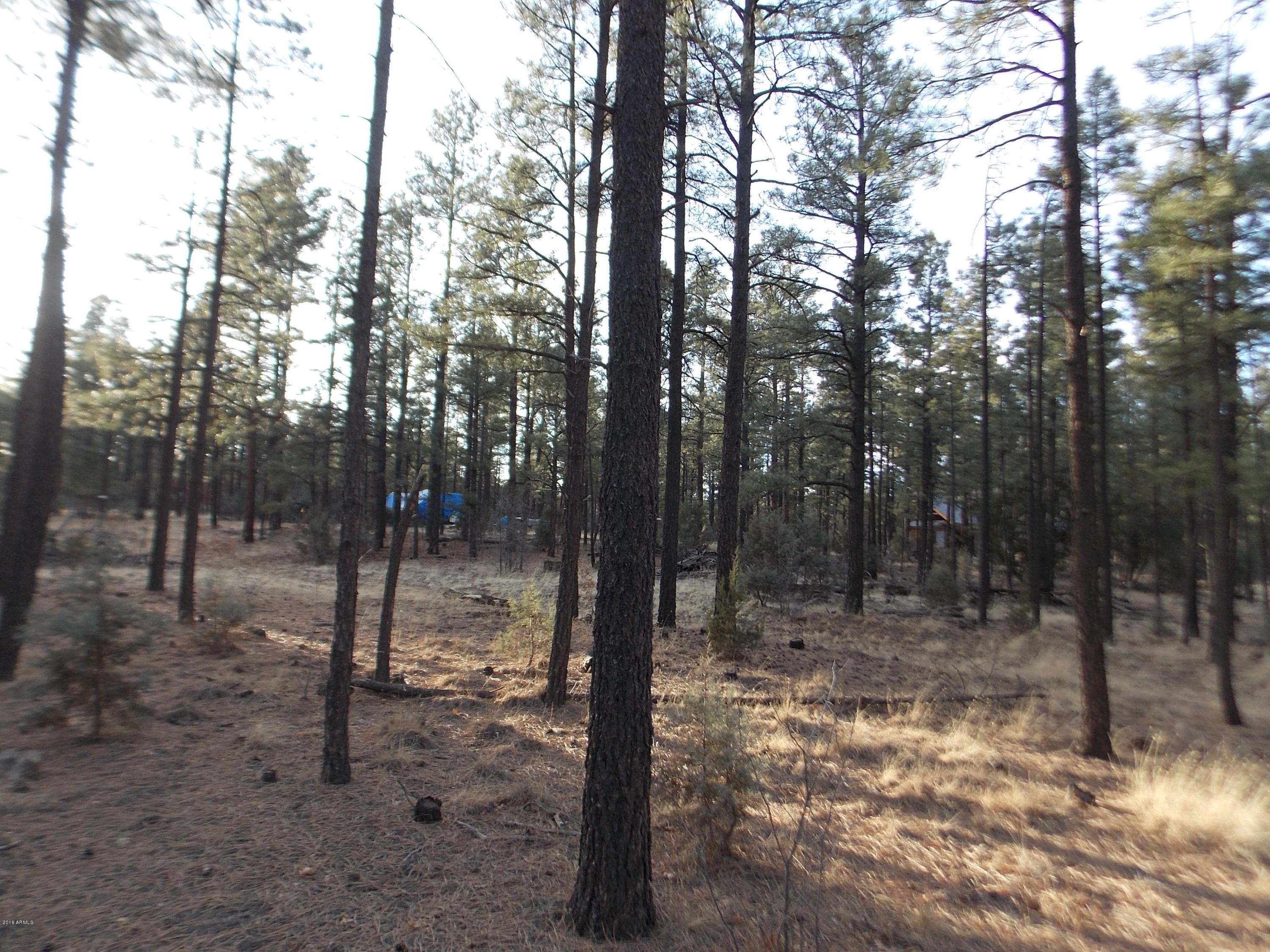2778 Canyon Ridge Road, Unit 107 Overgaard, AZ 85933 - Photo 7 of 8 DSCN9047