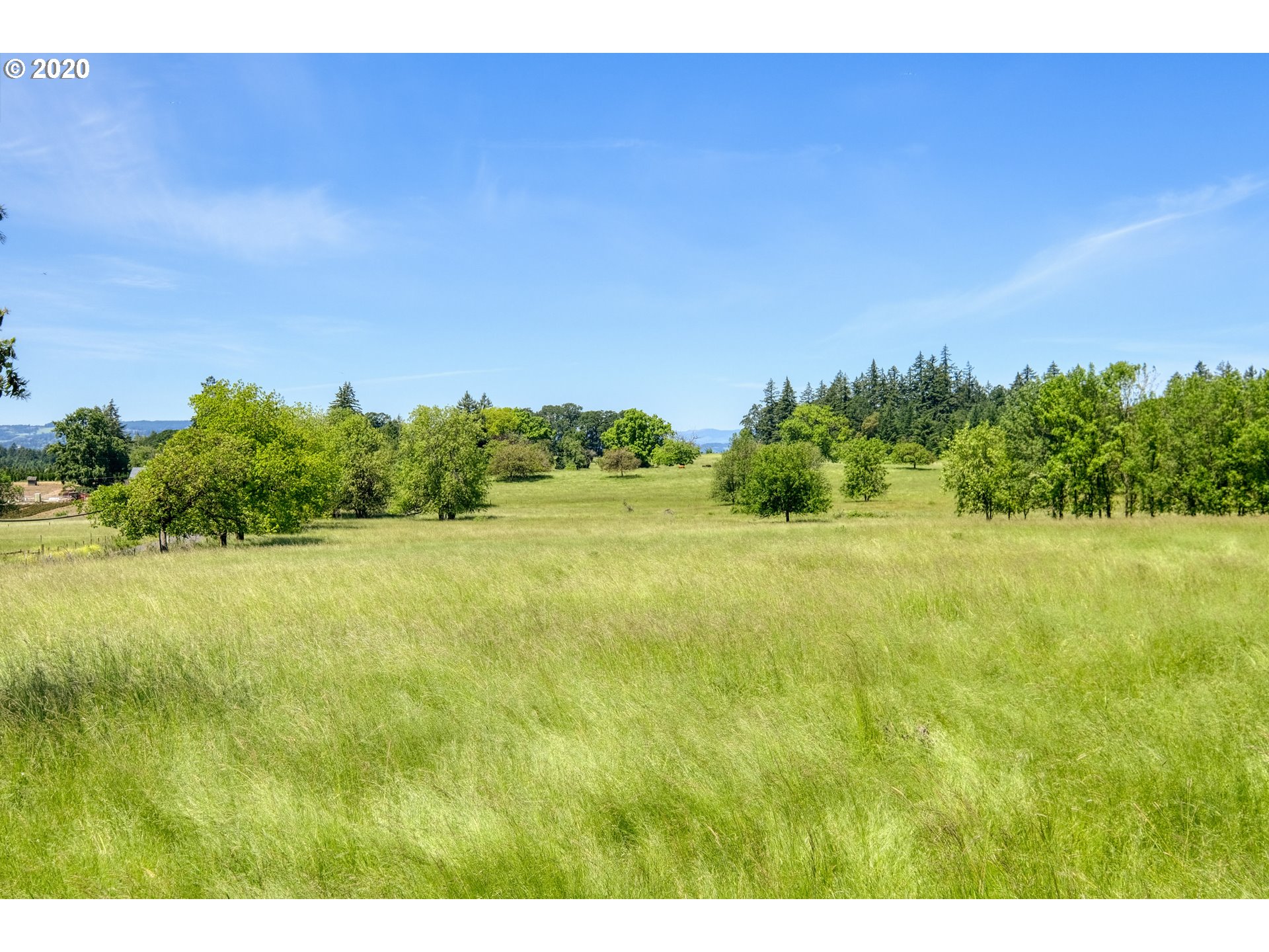30575 Northeast Fernwood Road Newberg, OR 97132 - Photo 11 of 20 a view of a green yard