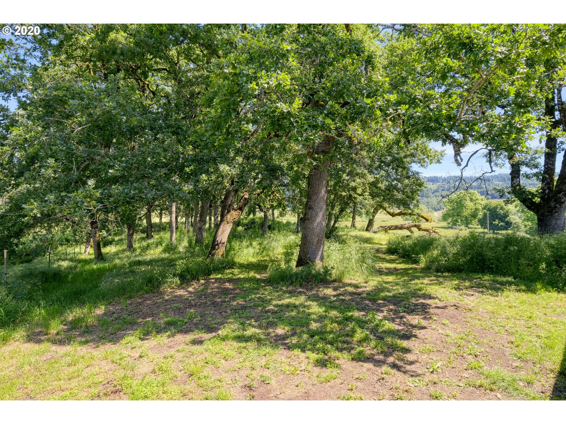 30575 Northeast Fernwood Road Newberg, OR 97132 - Photo 15 of 20 a view of backyard with green space