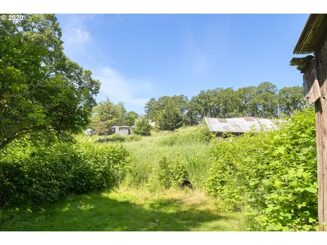 a view of a yard with a tree