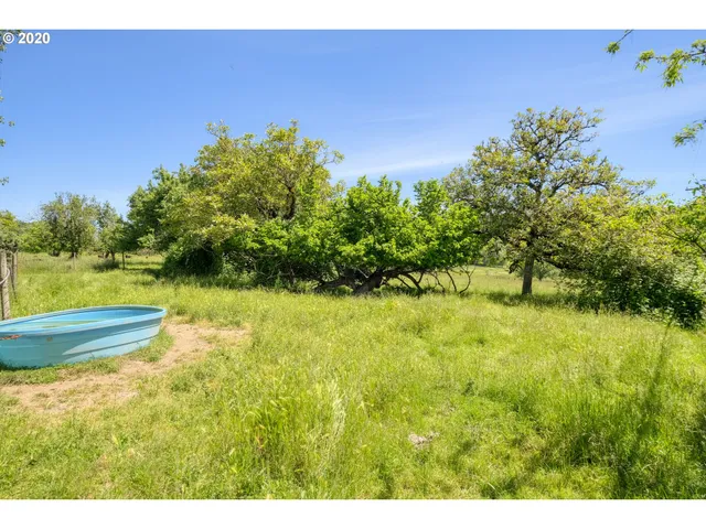 a view of an outdoor space and a yard