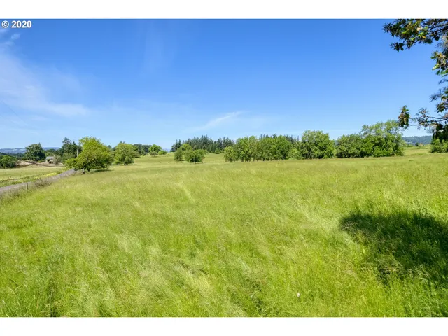 a view of a lake and a yard