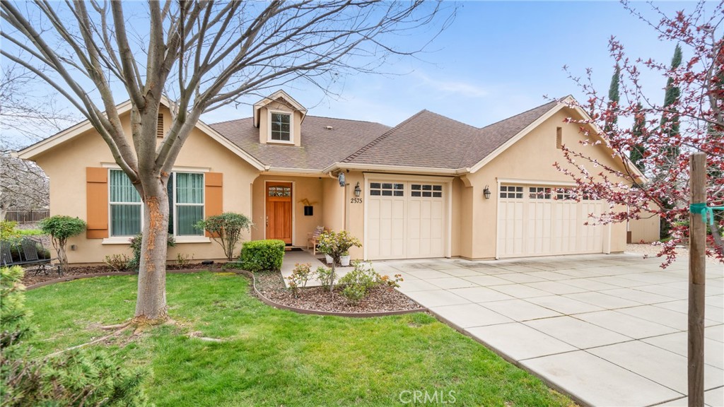 a front view of a house with yard and green space