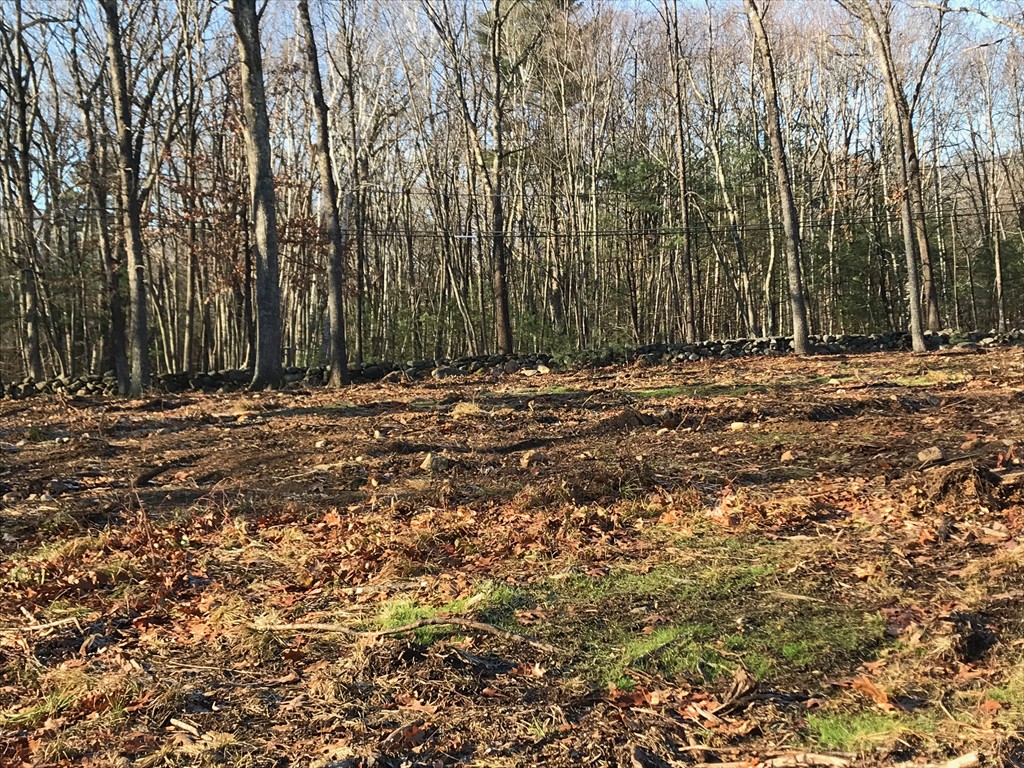 171 Estabrook Road Carlisle, MA 01741 - Photo 1 of 4 Gallery Image 1