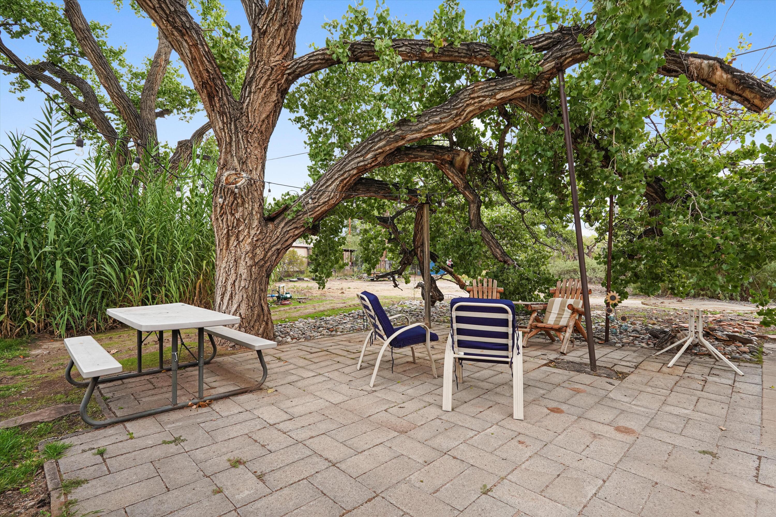 490 East Valverde Road Corrales, NM 87048 - Photo 49 of 77 Gallery Image 49