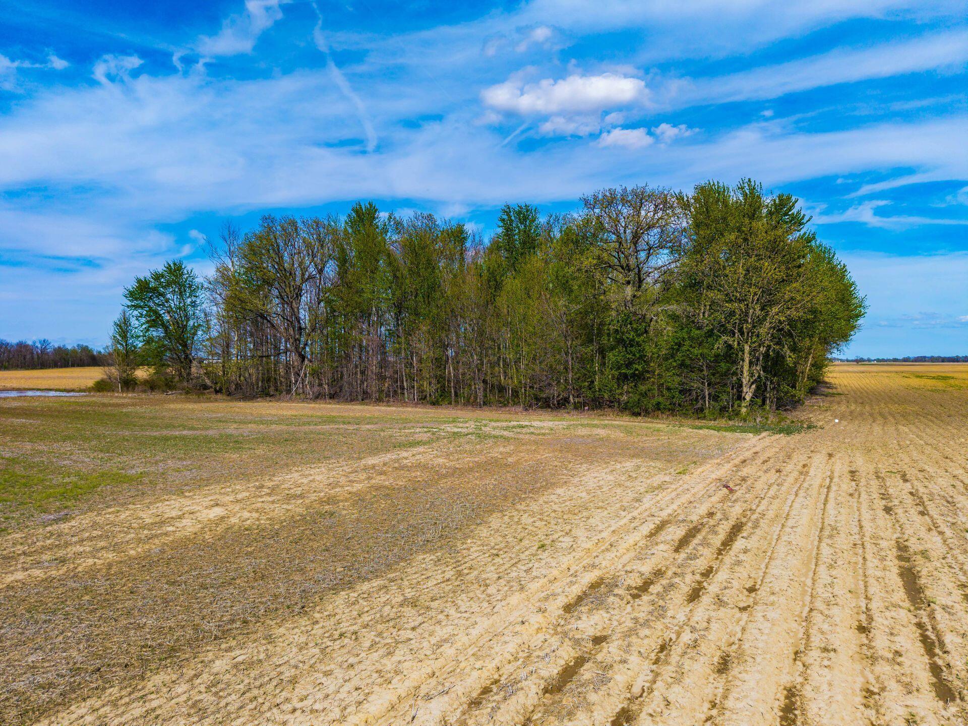 0 Fields Road Richwood, OH 43344 - Photo 7 of 30 .