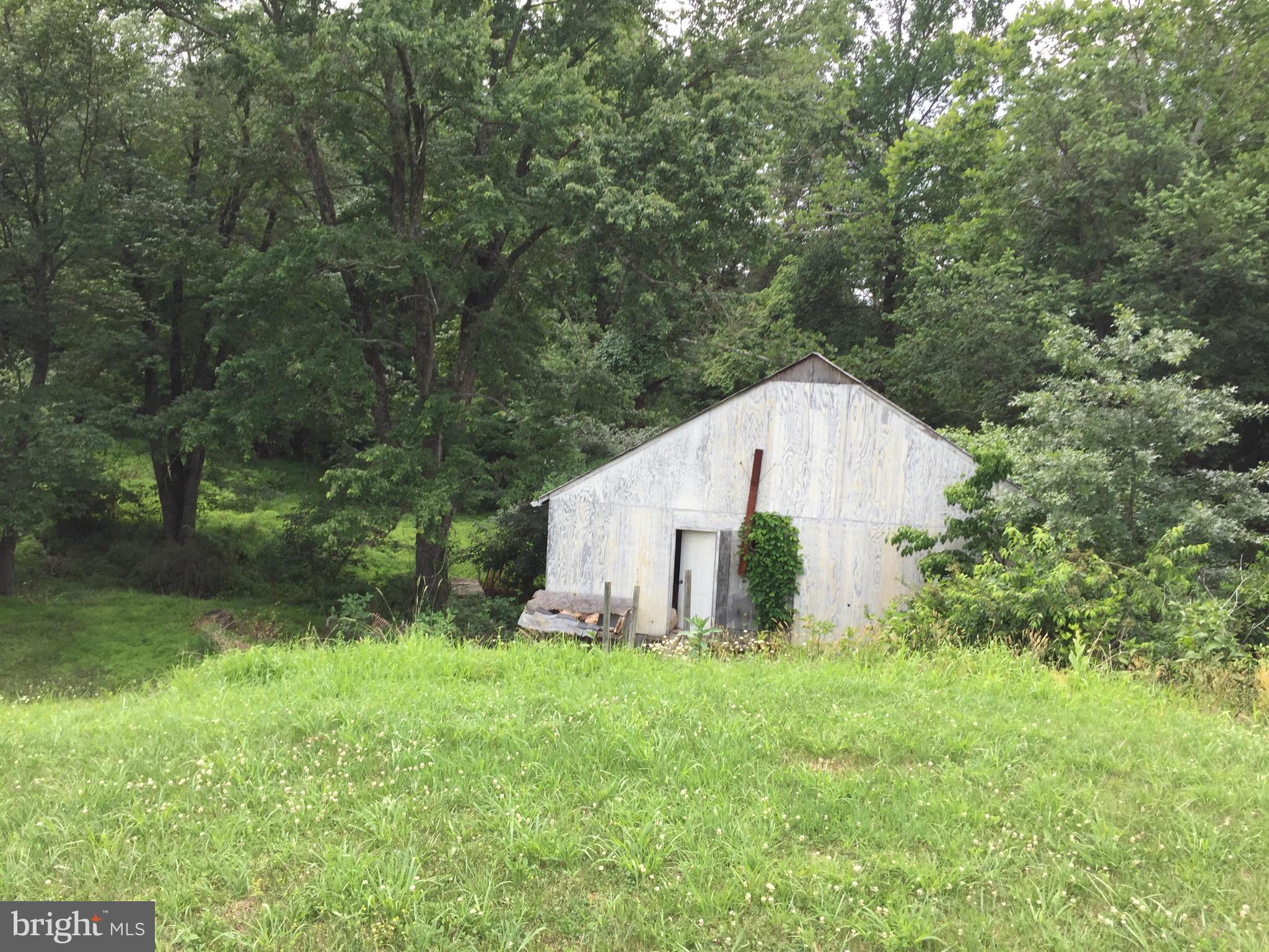 13390 Jesse Smith Road Mount Airy, MD 21771 - Photo 15 of 25 a view of backyard with garden and trees