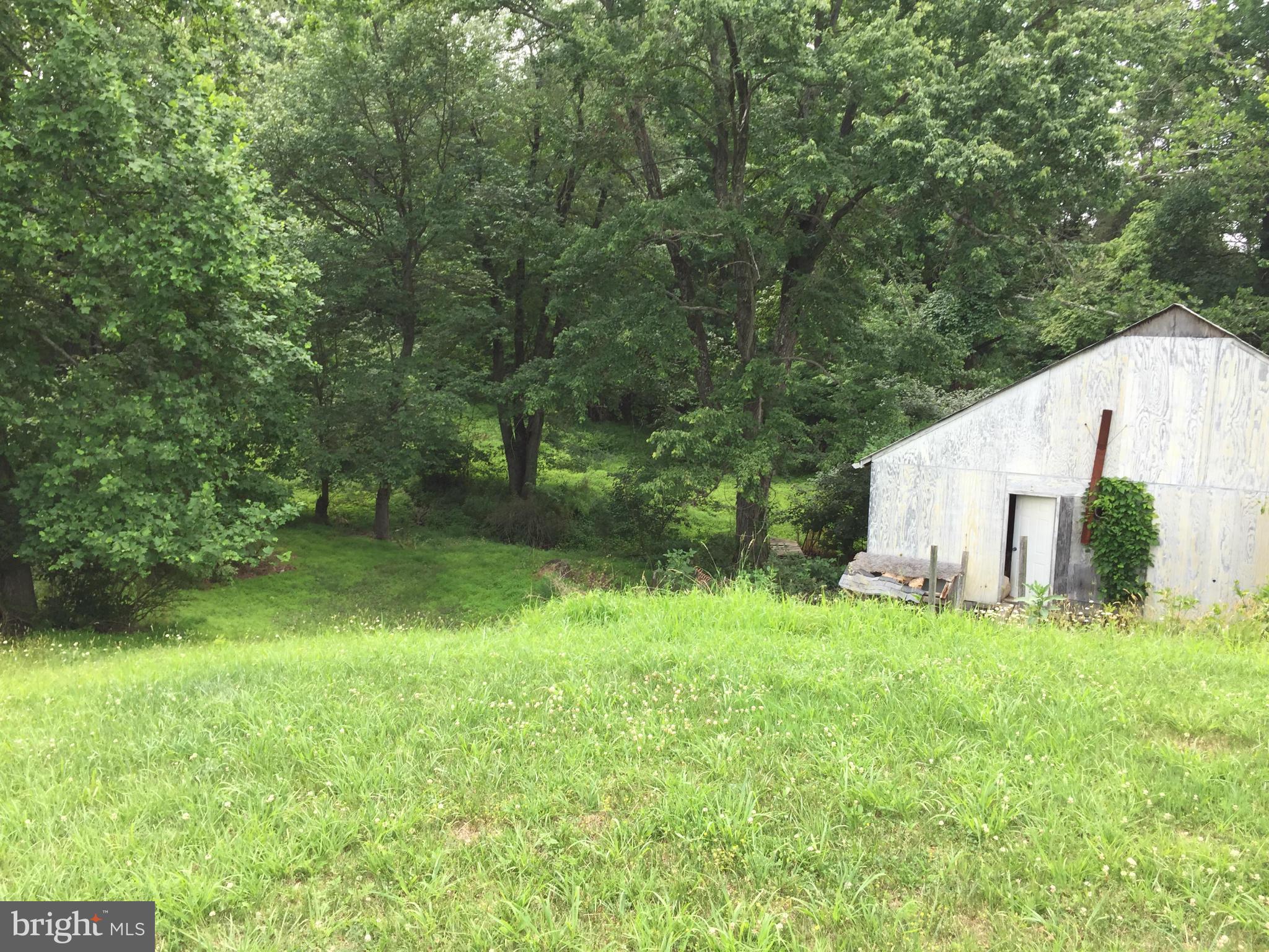 13390 Jesse Smith Road Mount Airy, MD 21771 - Photo 16 of 25 a view of a backyard with grass and a small cabin