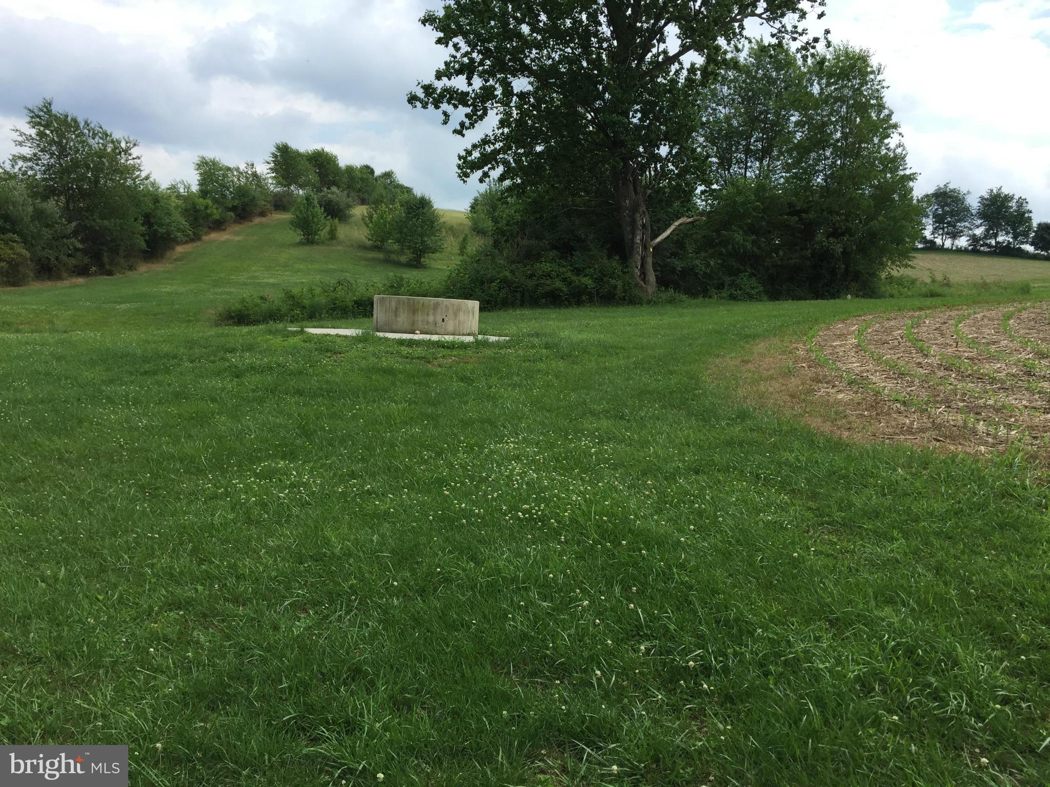 13390 Jesse Smith Road Mount Airy, MD 21771 - Photo 17 of 25 a view of a garden