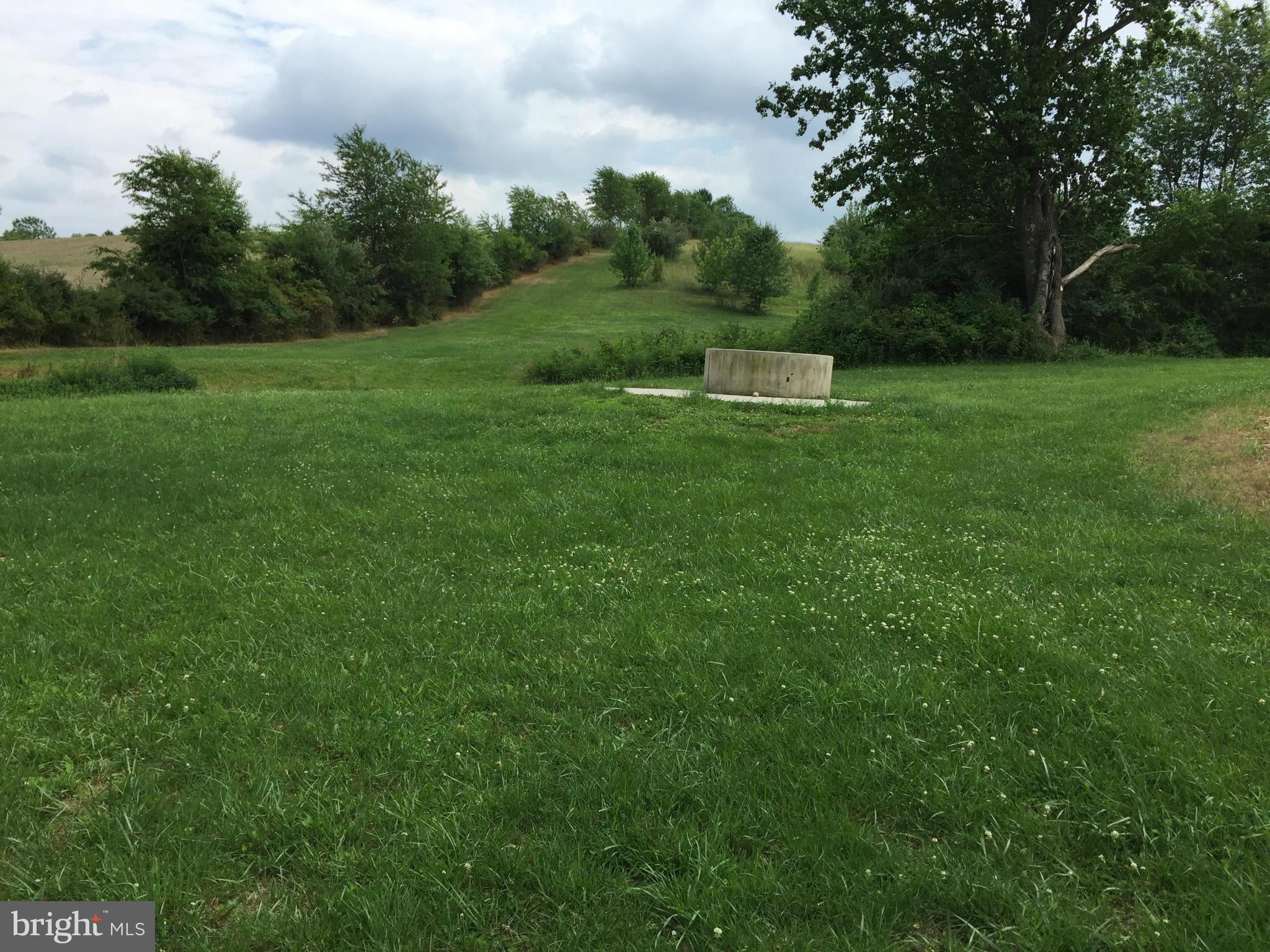 13390 Jesse Smith Road Mount Airy, MD 21771 - Photo 18 of 25 a view of a green field with trees in the background