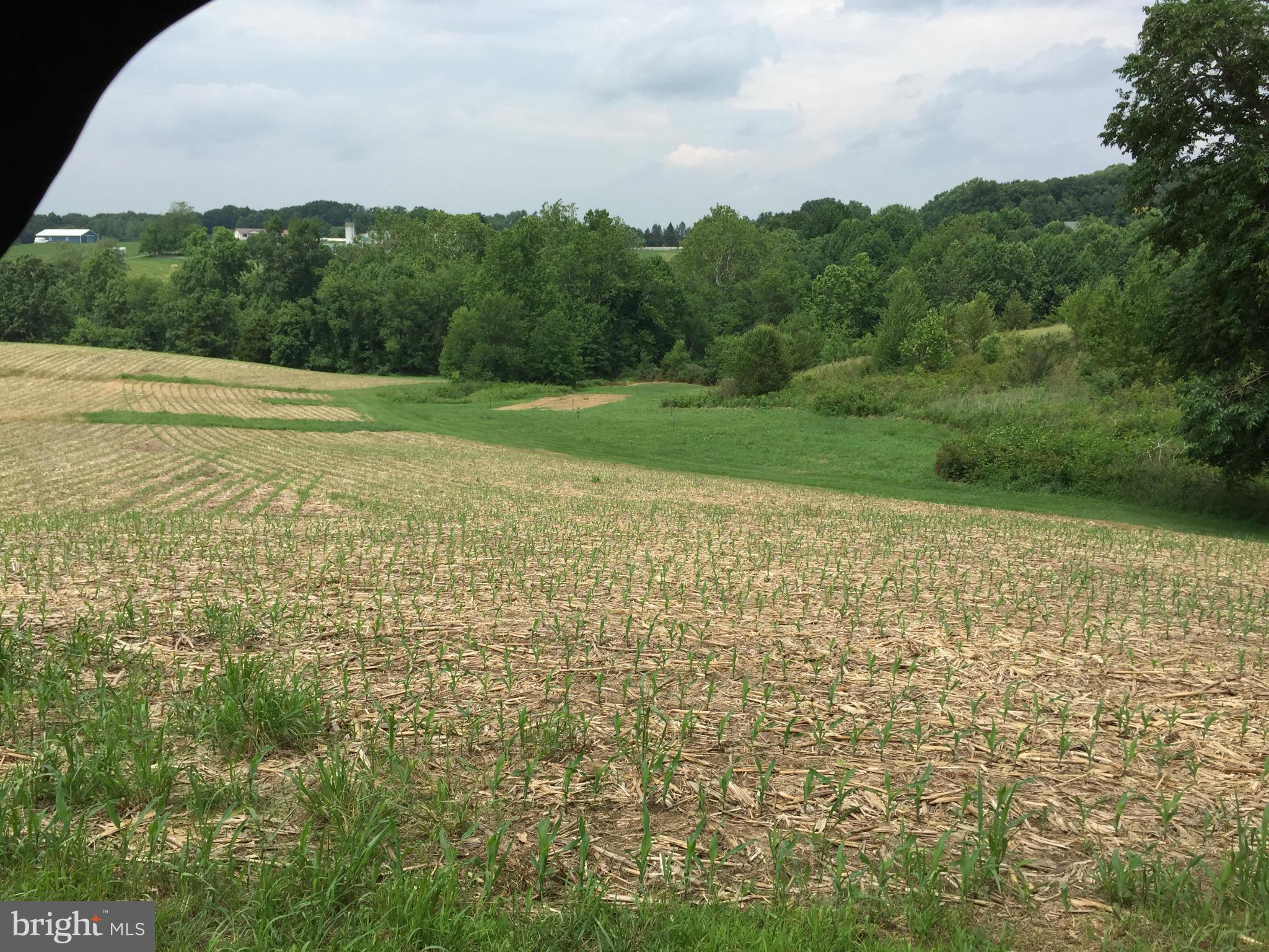 13390 Jesse Smith Road Mount Airy, MD 21771 - Photo 22 of 25 a view of a field with an outdoor space