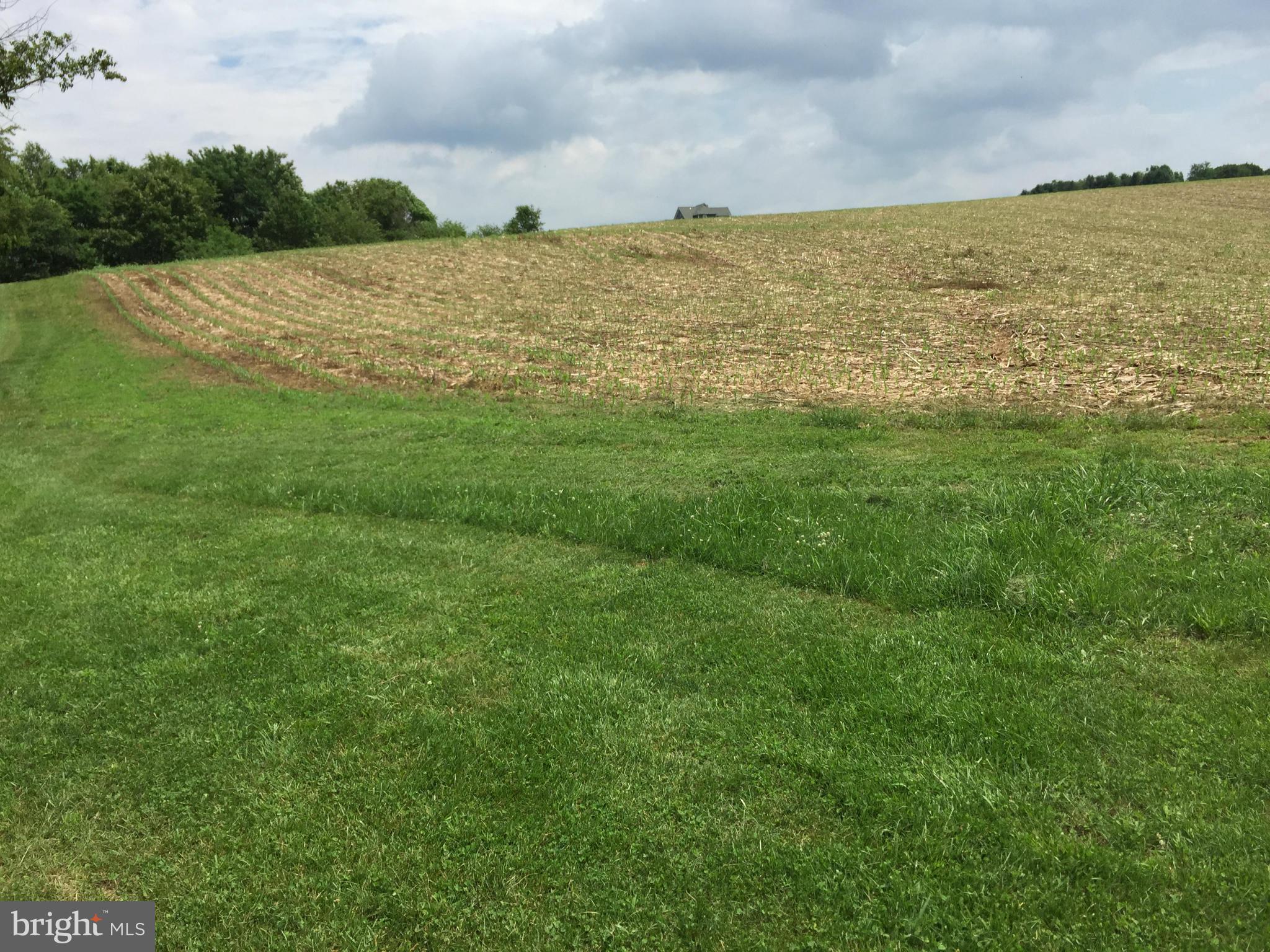13390 Jesse Smith Road Mount Airy, MD 21771 - Photo 23 of 25 a view of an ocean from a yard