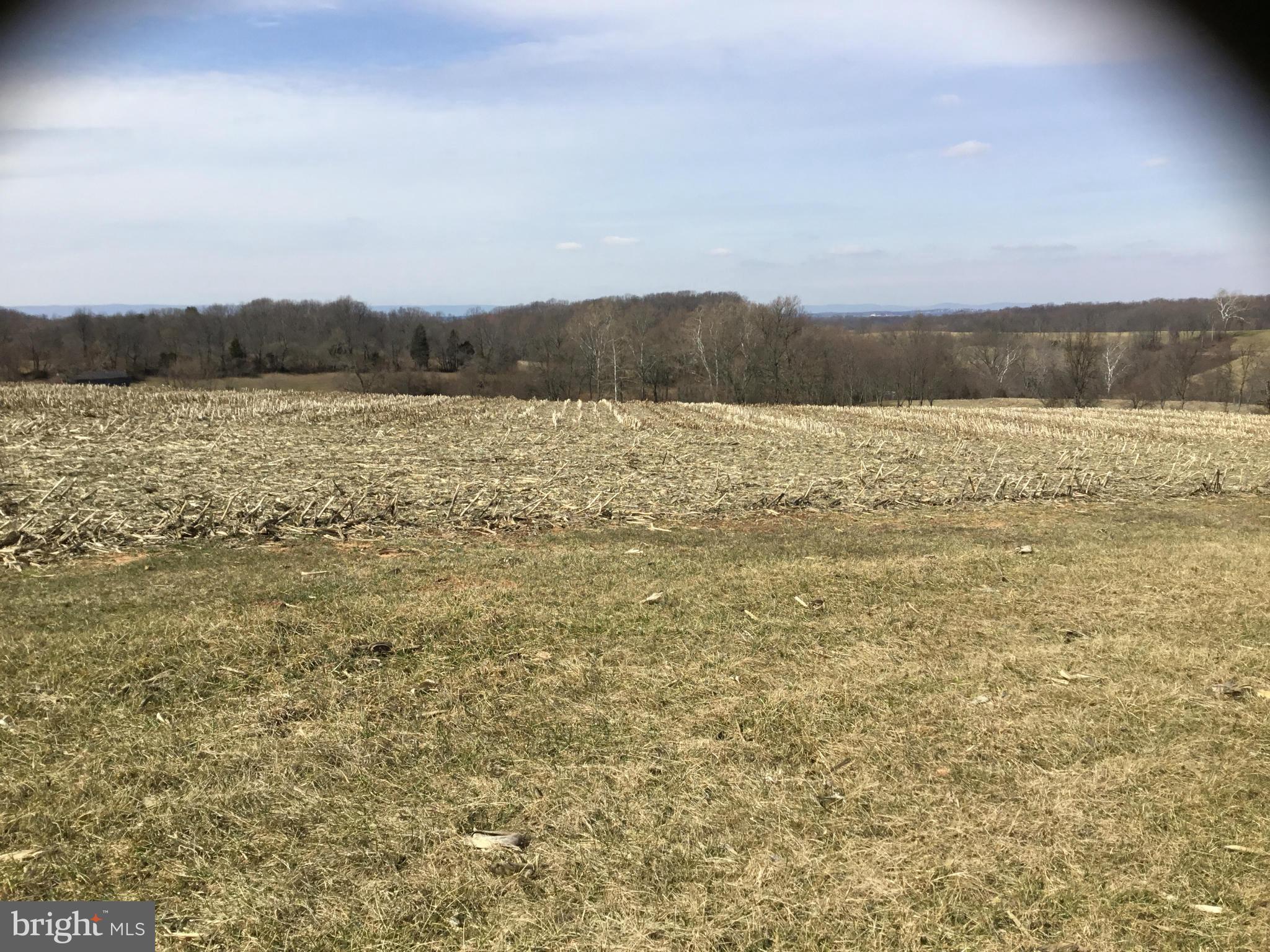 13390 Jesse Smith Road Mount Airy, MD 21771 - Photo 4 of 25 a view of lake