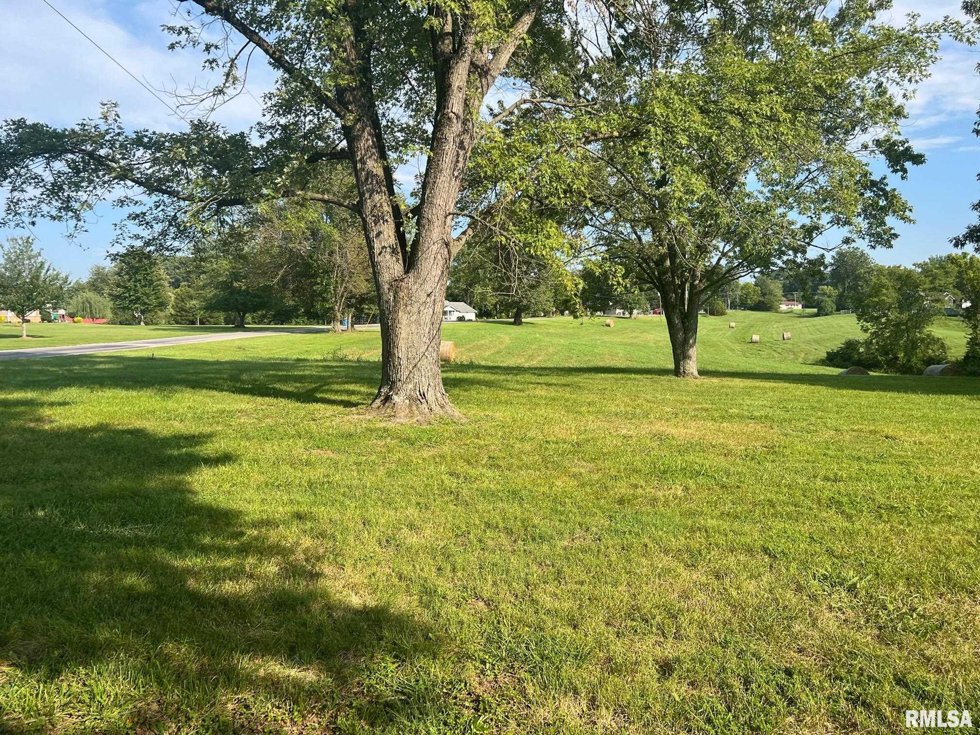 236 Carbon Lake Road Murphysboro, IL 62966 - Photo 4 of 24 Gallery Image 4