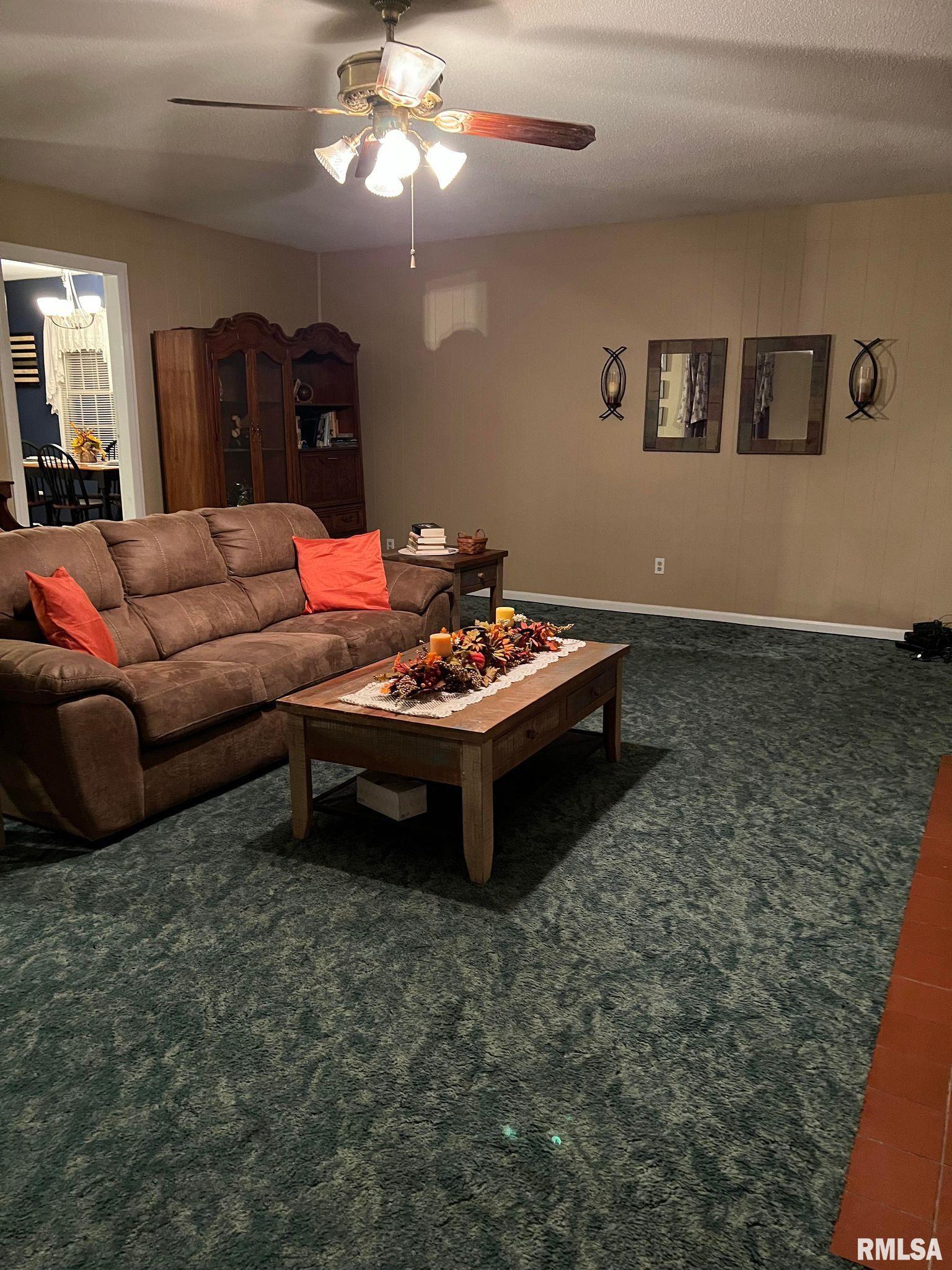 236 Carbon Lake Road Murphysboro, IL 62966 - Photo 6 of 24 Gallery Image 6