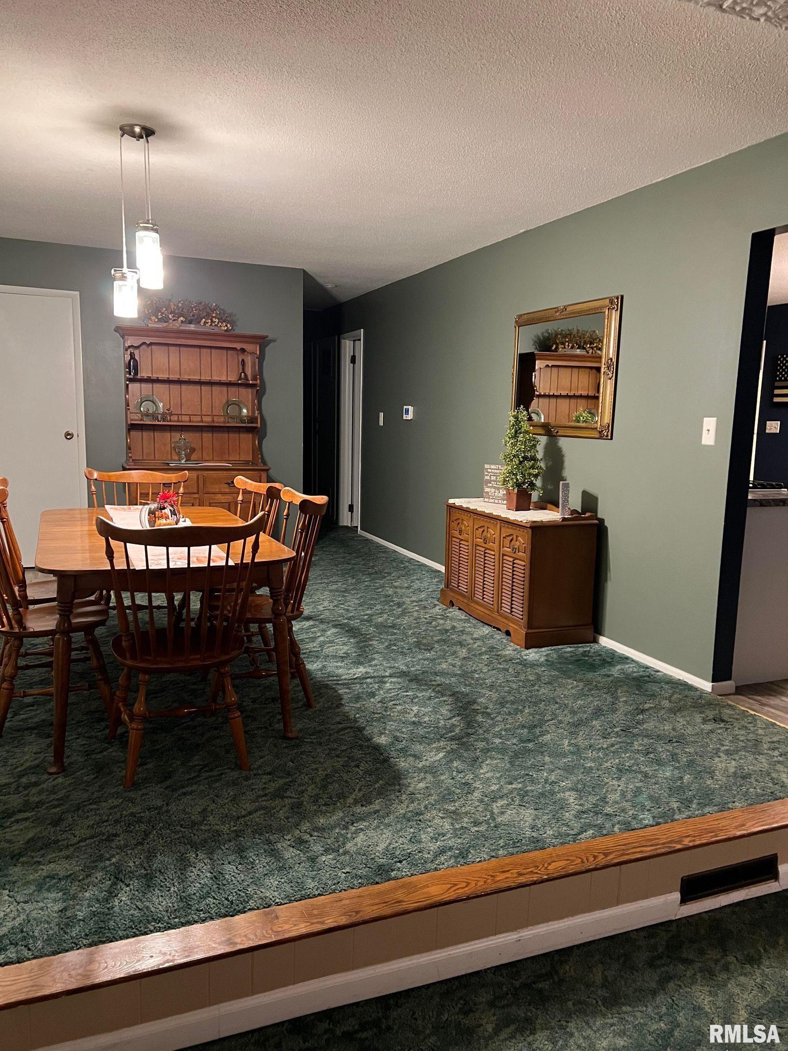 236 Carbon Lake Road Murphysboro, IL 62966 - Photo 7 of 24 Gallery Image 7