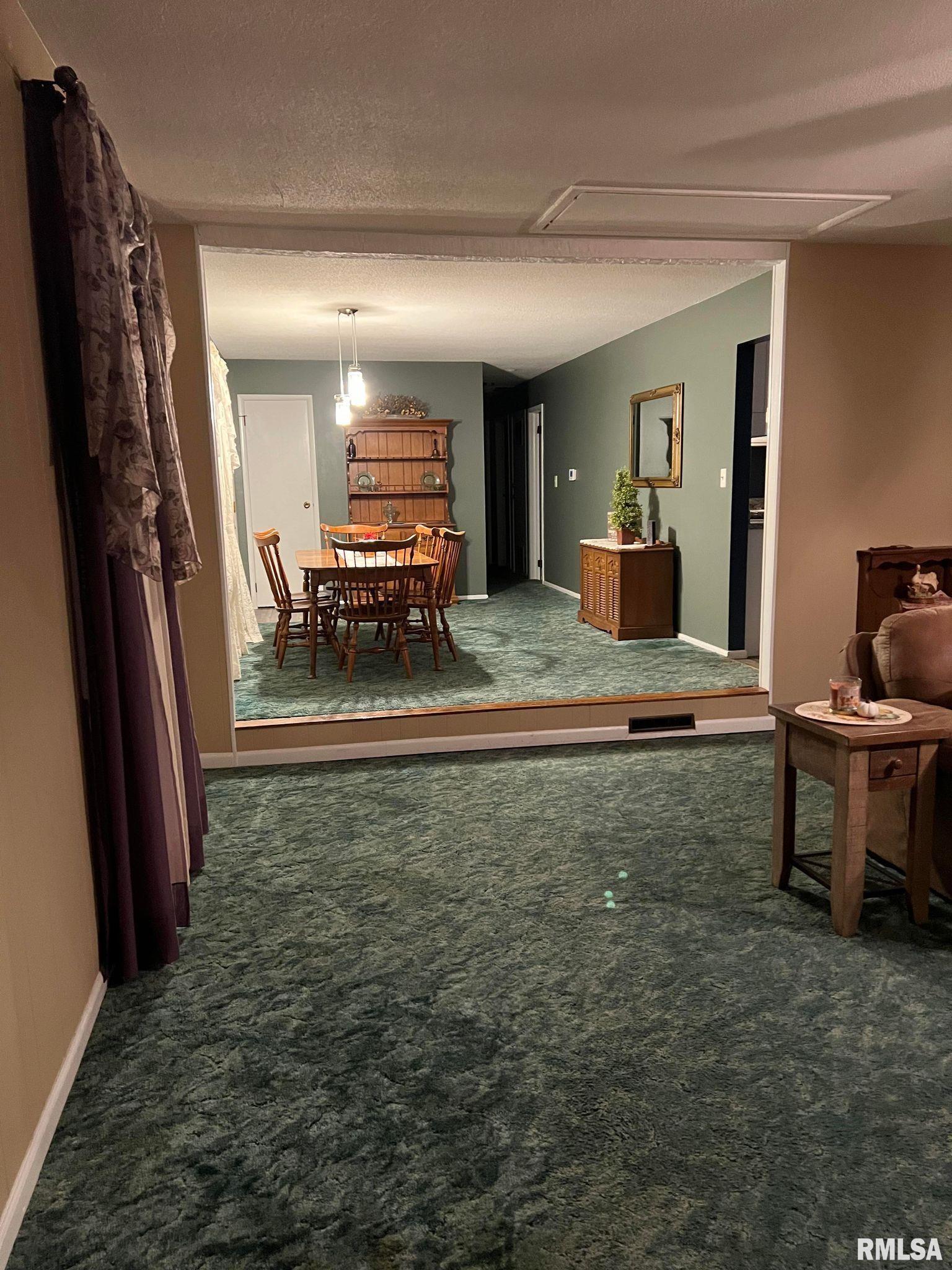 236 Carbon Lake Road Murphysboro, IL 62966 - Photo 8 of 24 Gallery Image 8