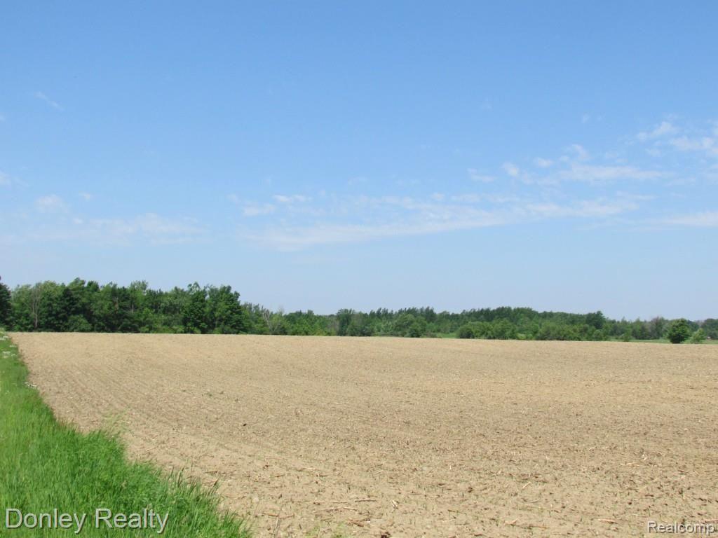 9999 Phillips Road Clifford, MI 48727 - Photo 4 of 12