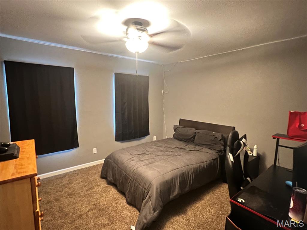 245 Summers Trace Belleville, IL 62220 - Photo 15 of 43